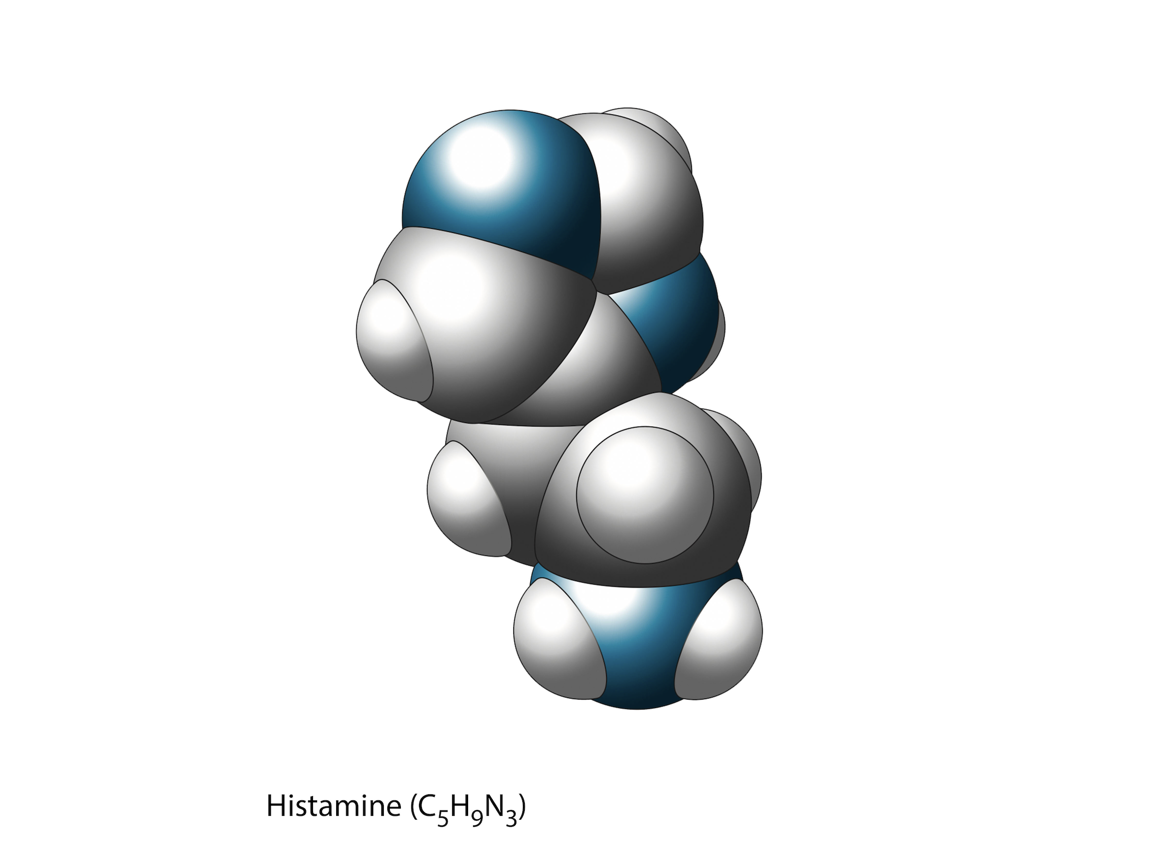 Screenshot 2026-01-27 at 7.43.33 PM.png