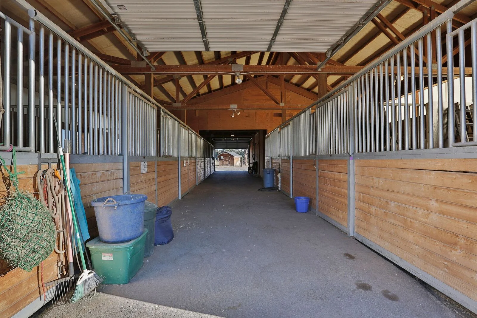 horses-inside.jpg