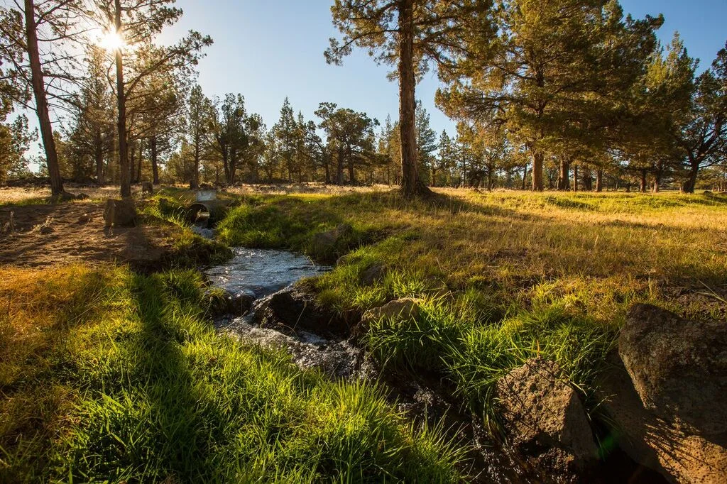 irrigation-ditch.jpg