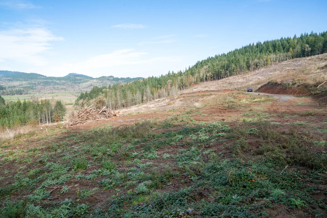 Creswell property-18.jpg