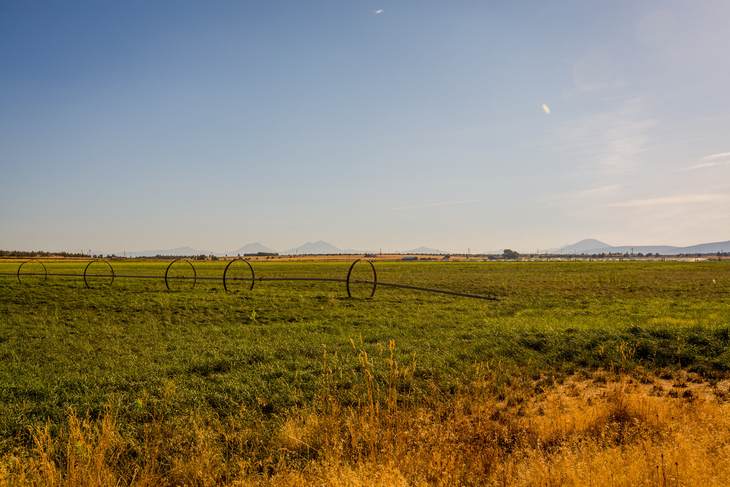 _83A2553-HDR.jpg