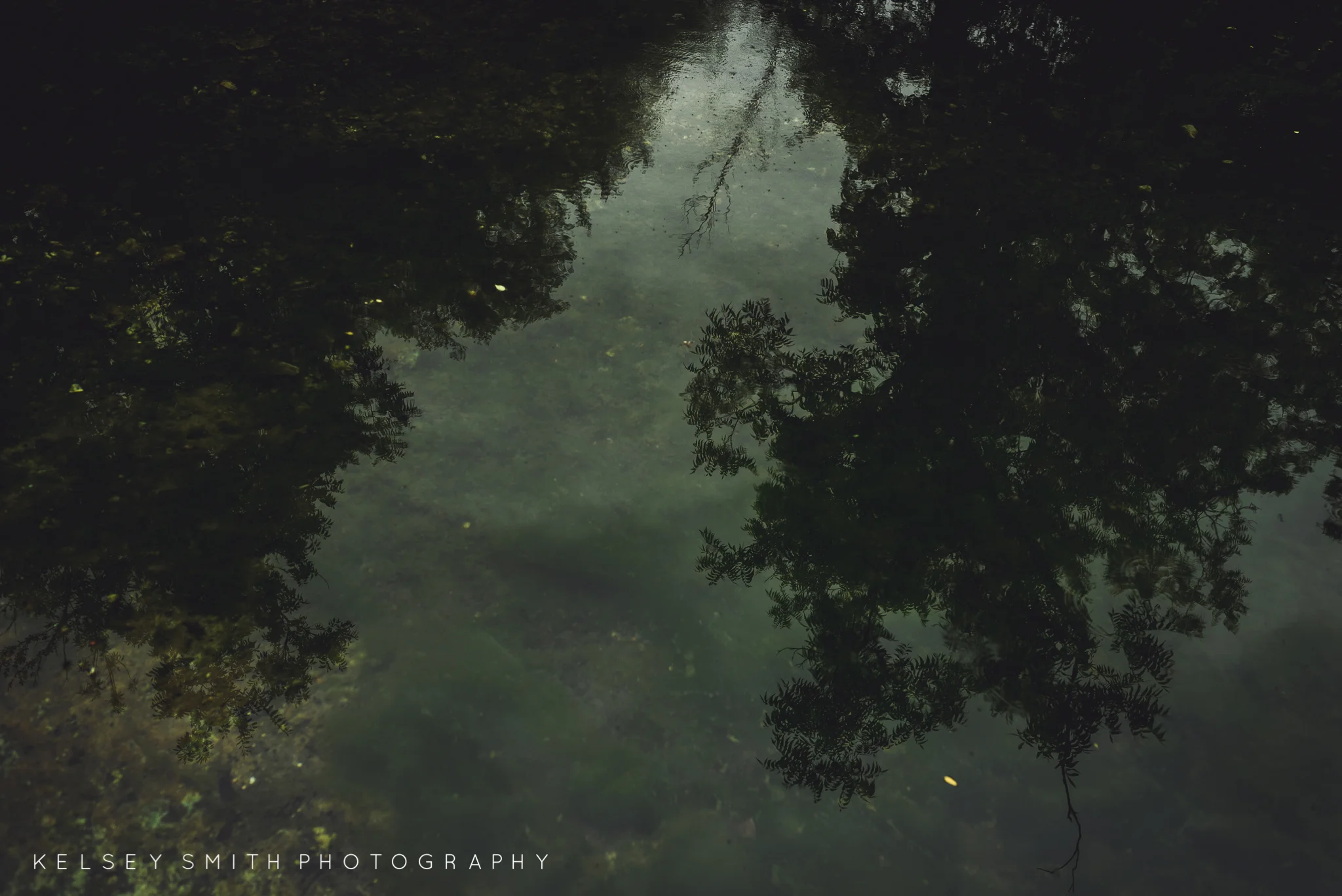 TheDeadTreeSociety_KelseySmithPhotography (Web Resolution)-28.jpg