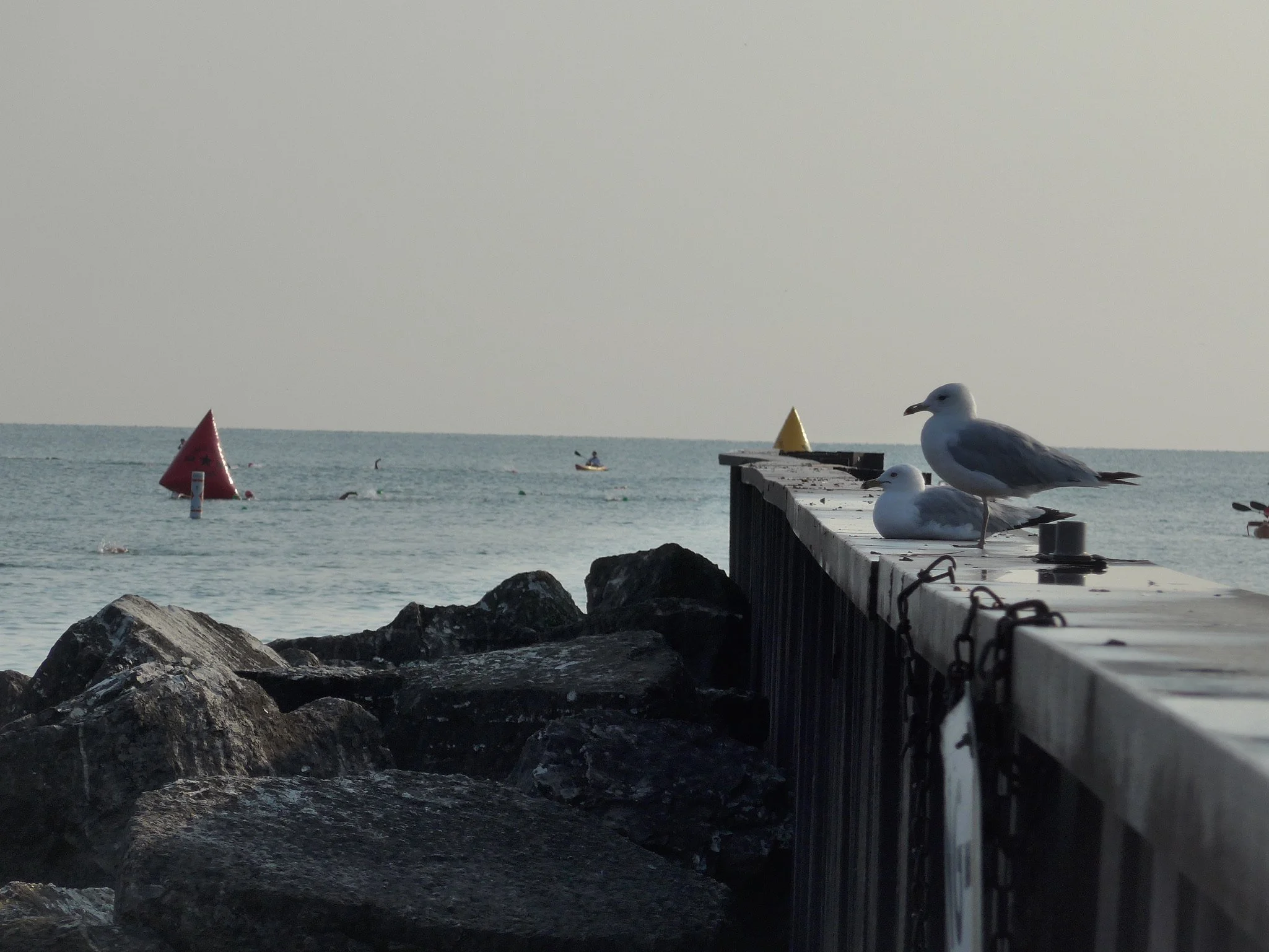 L1040094.JPG
