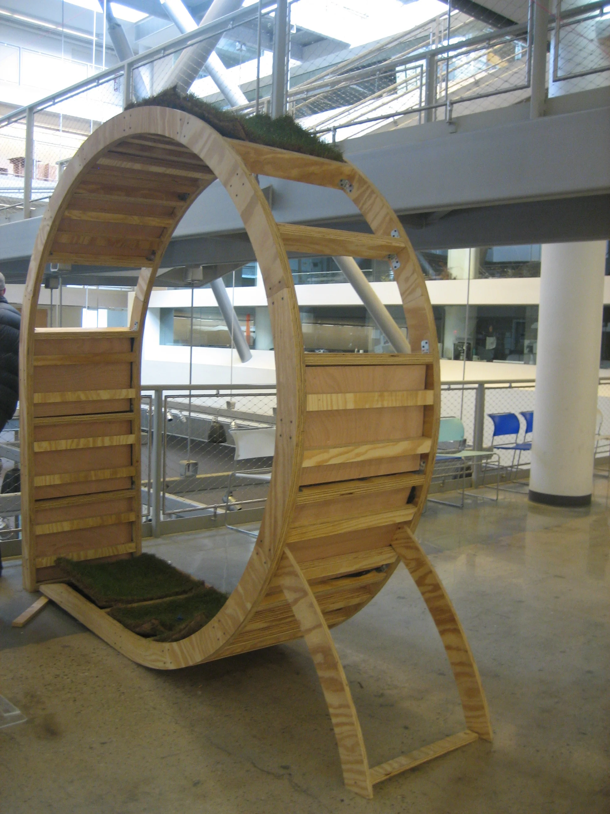 Curating Architecture