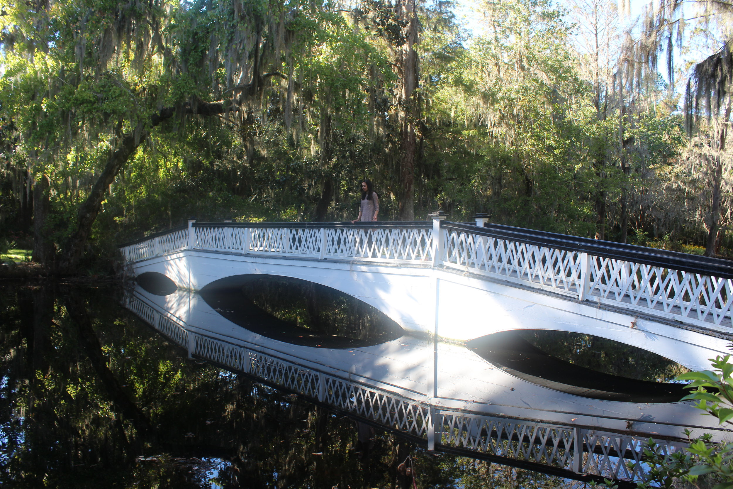 Magnolia Plantation, Charleston, South Carolina
