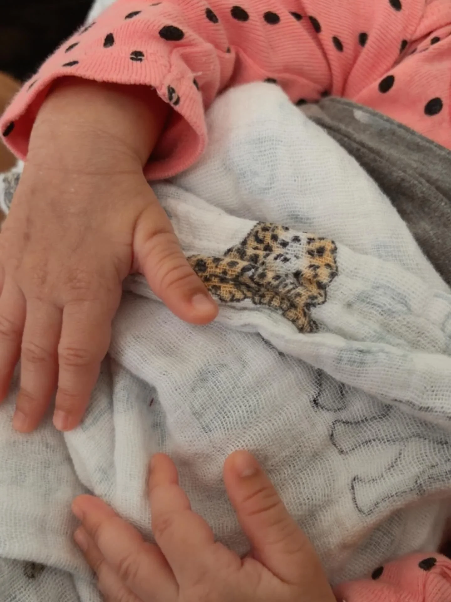 Balancing life as a mom of two and a driven professional means knowing when to pause. Using this chapter to grow personally, reset, and prepare for the next phase of my career with renewed energy! 

#maternityleave #momlife #career #architect