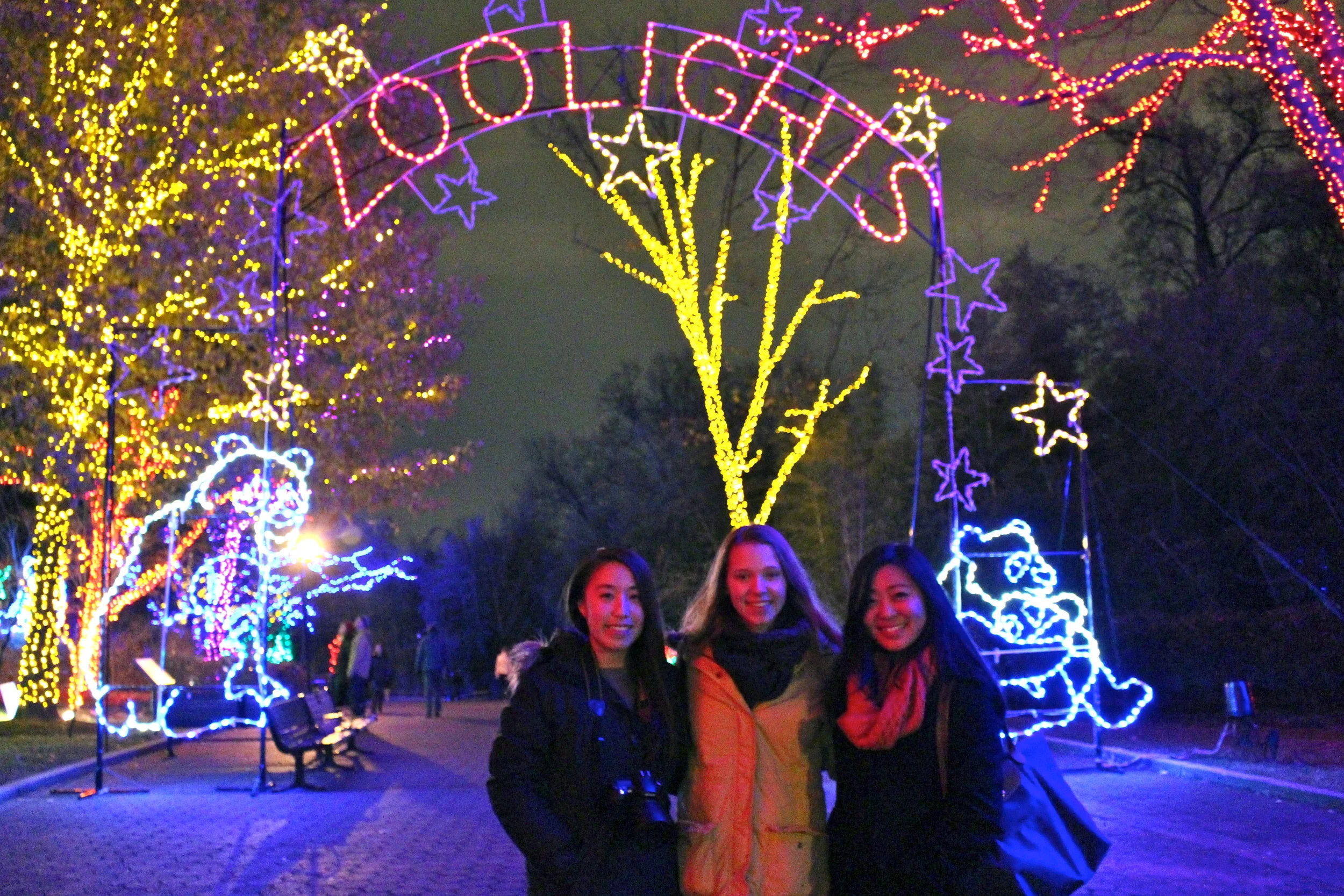 ZooLights + National Christmas Tree 