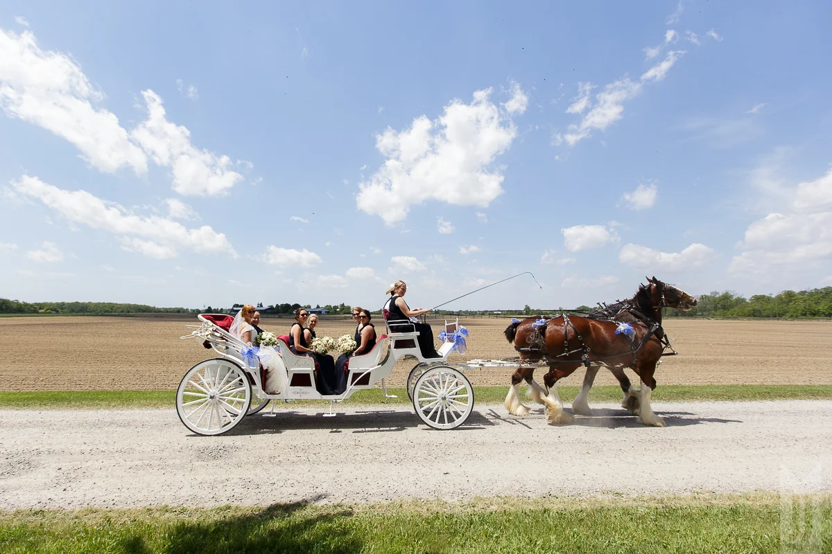 MJwedding-22.jpg