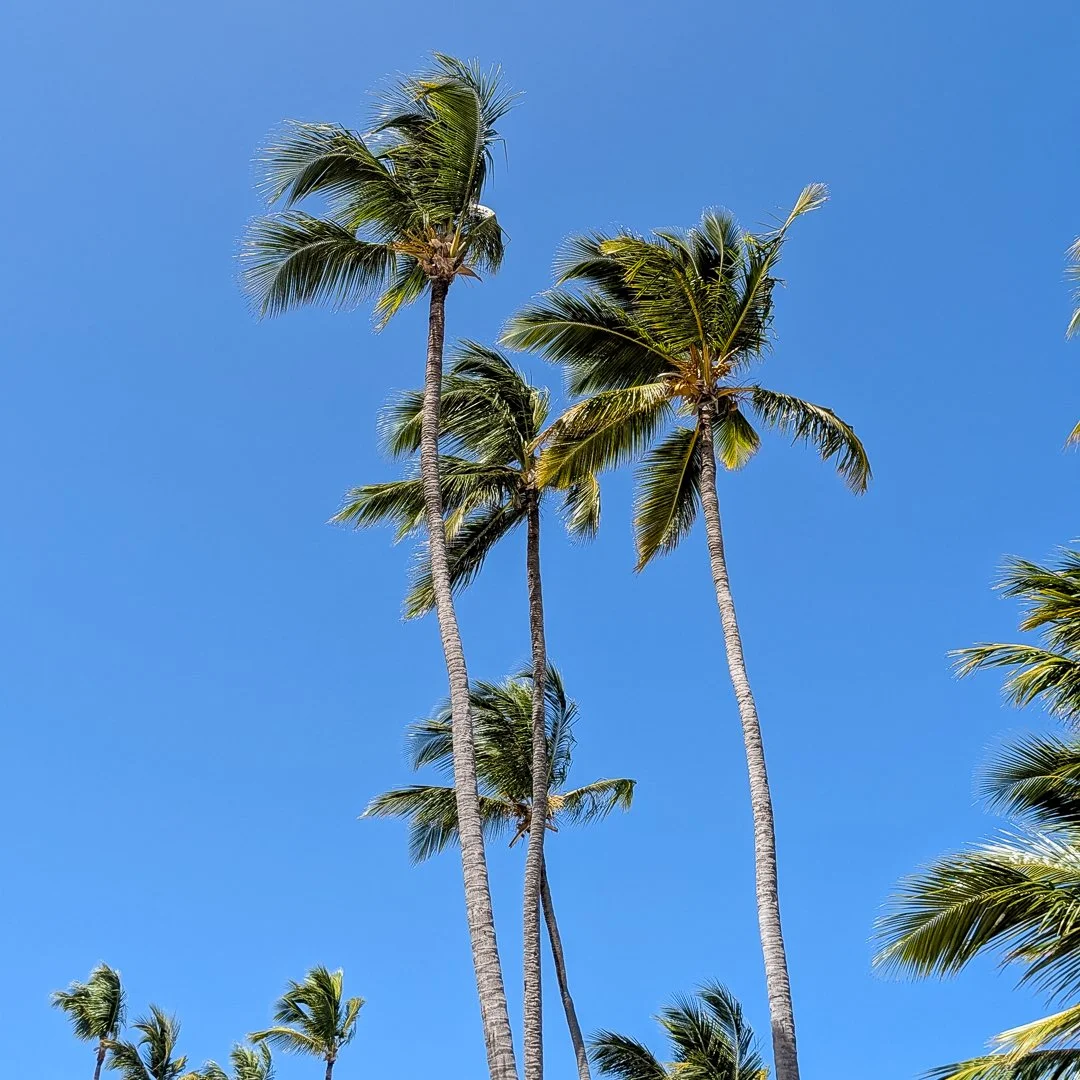 Why did it take 17 years to finally shoot a destination wedding