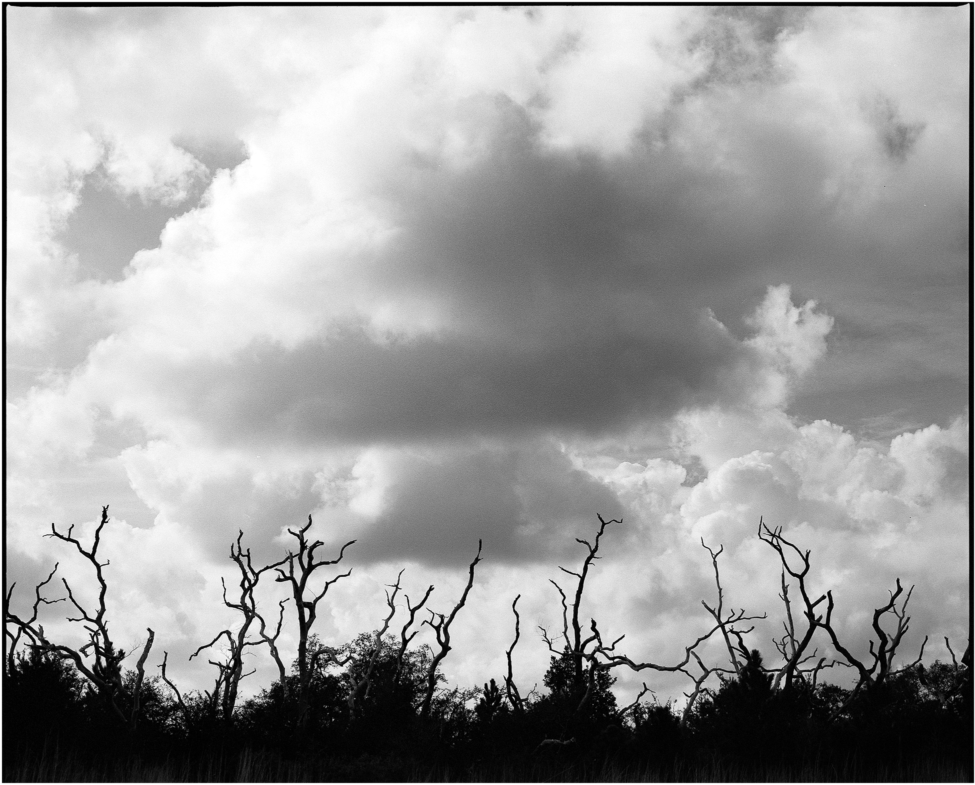 Mamiya RZ67 Pro II with 110mm f/2.8 and #25 red filter
