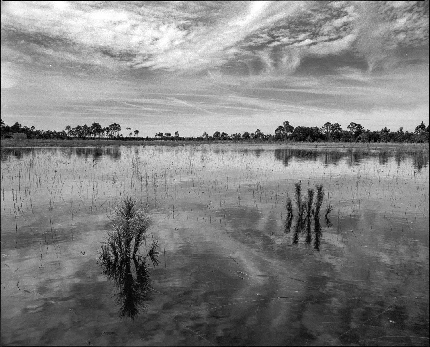 Mamiya RZ67 Pro II with 50mm f/4.5 ULD, #25 red filter and circular polarizer