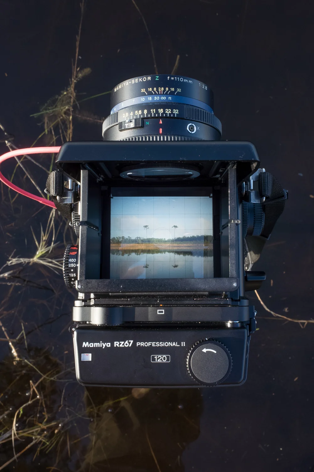 A shot through the viewfinder of the Mamiya RZ67. This image was taken with my Ricoh GRII, which I normally use for documenting the in-between moments. However, after that last trip, I think I will be selling the Ricoh and using my iPhone XR exclusively for this type of work.