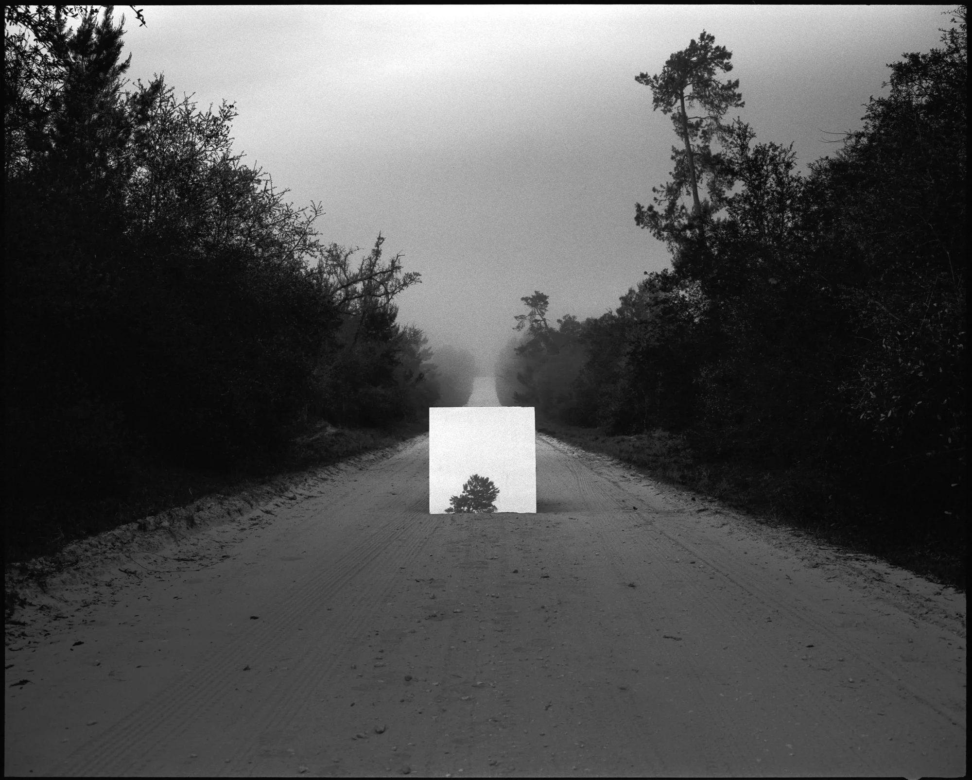 The mirror sits in the middle of F.R. 33. Mamiya 7ii, 80mm, Kodak Tri-X 400 pushed to 1600.