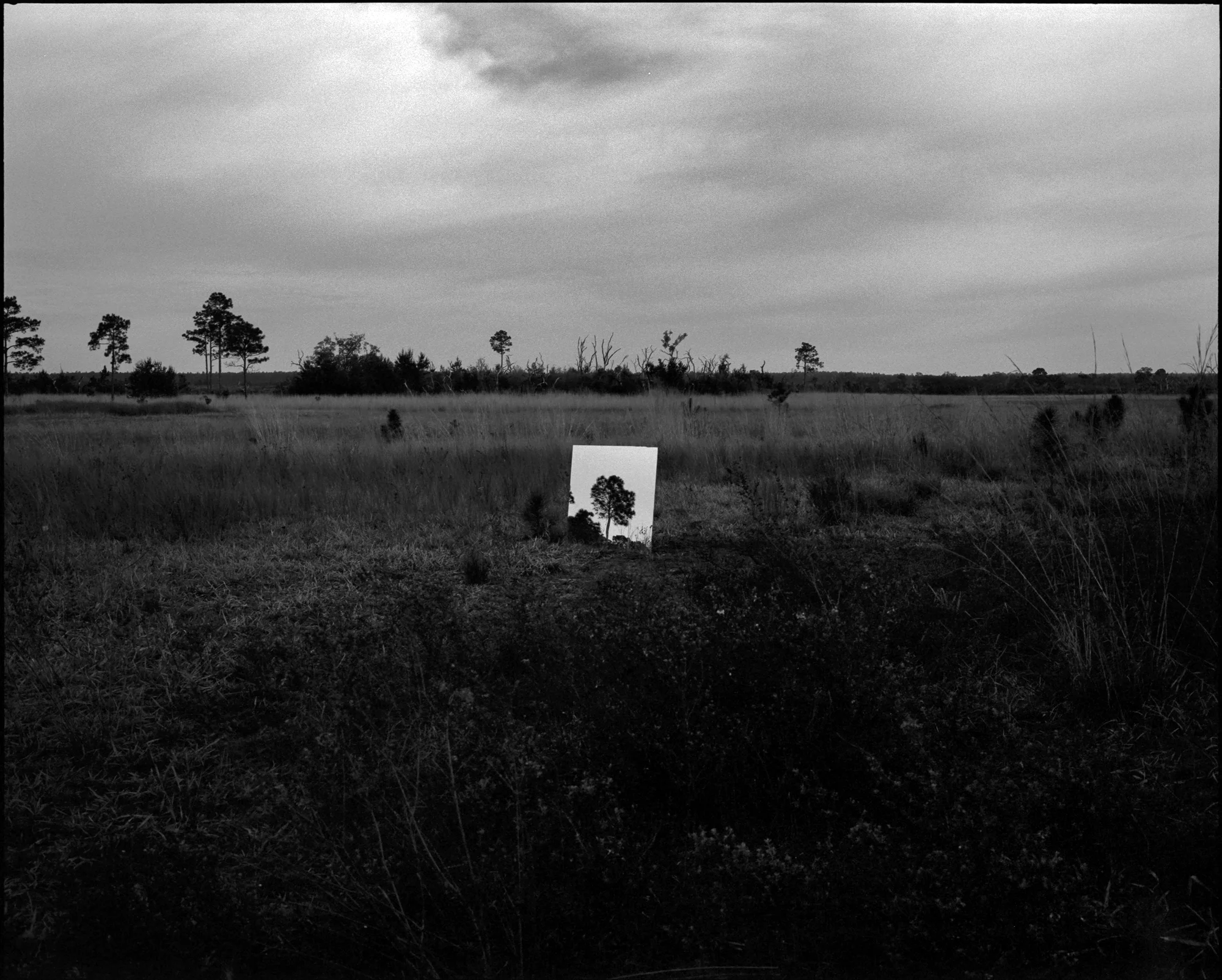 The mirror sits in the middle of the prairie reflecting a far-off pine tree. Mamiya 7ii, 80mm, Kodak Tri-X 400 pushed to 1600.