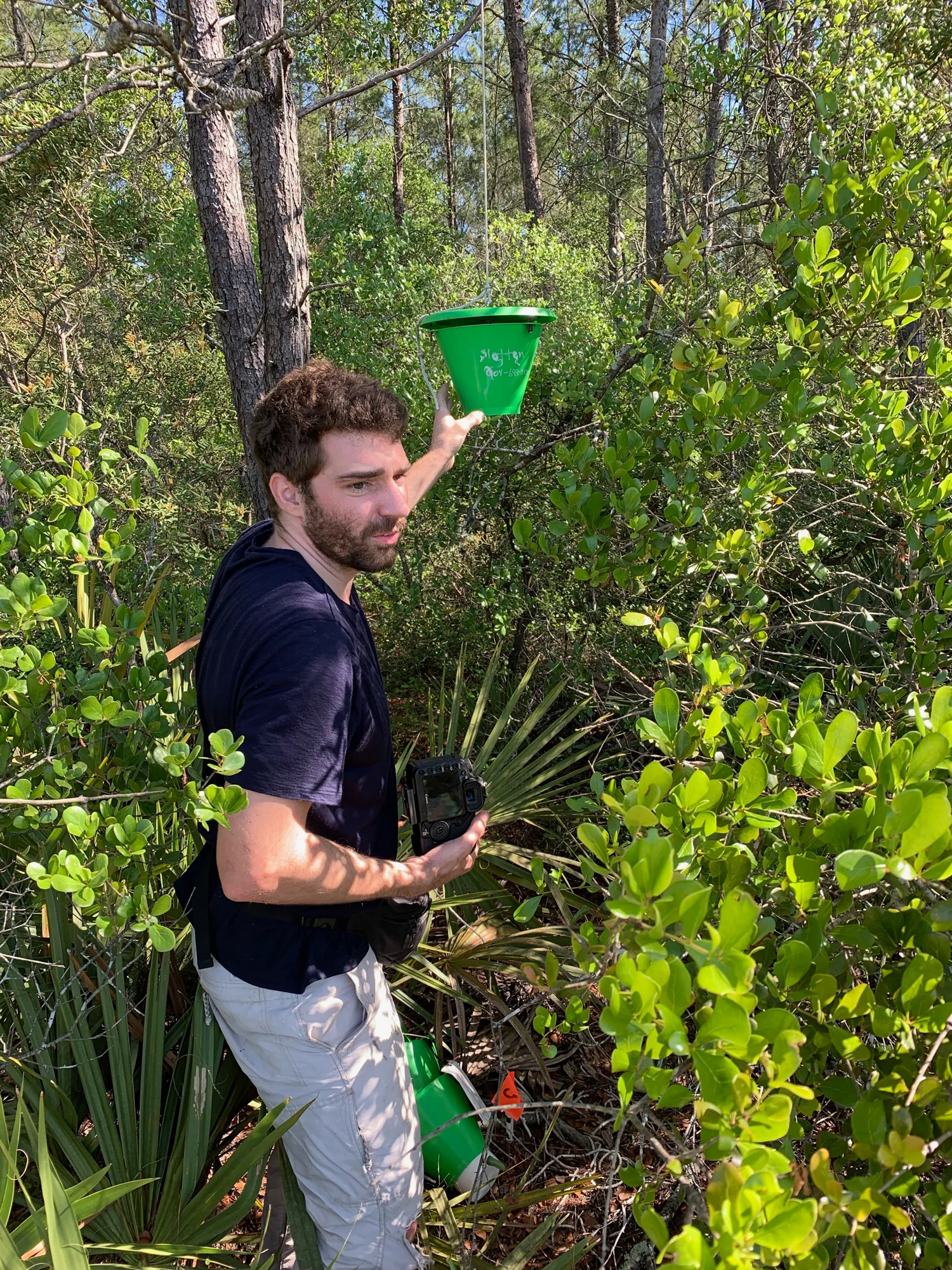 Alex investigates what seems to be a feeder hanging from a pine tree. Shot details: iPhone XR