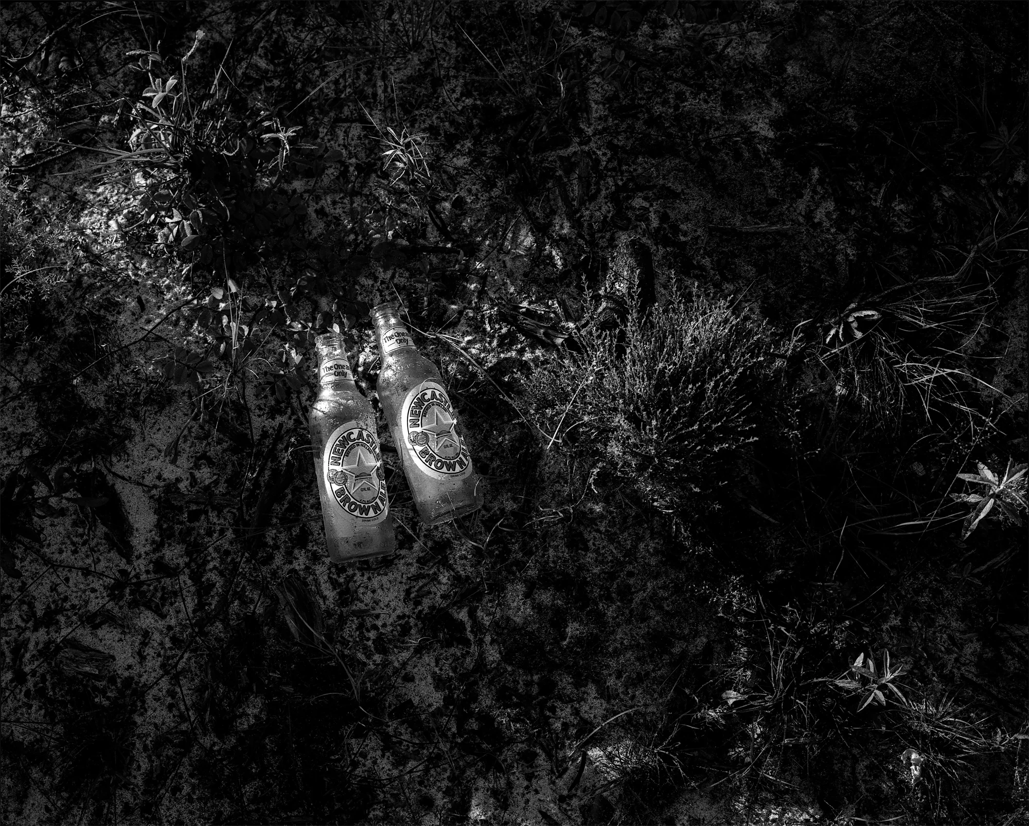 Two New Castle Brown Ale bottles catch the first rays of the morning. Don’t worry, everything we carry in, we carry out. Shot details: Mamiya 7ii, 80mm f/4, Kodak Tri-X 400 pushed to 1600