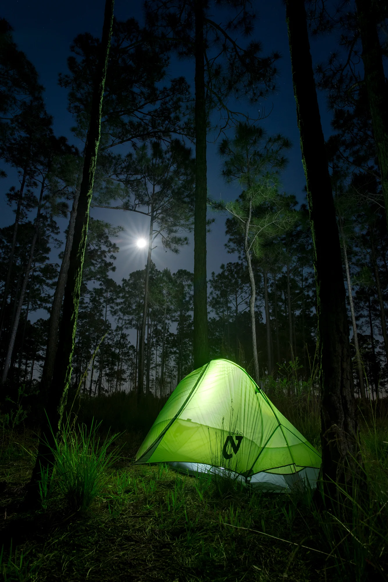 The eerie green glow produced on the surrounding foliage made this shot for me. I was glad I had decided to bring my Nemo Hornet one person tent along for this trip.