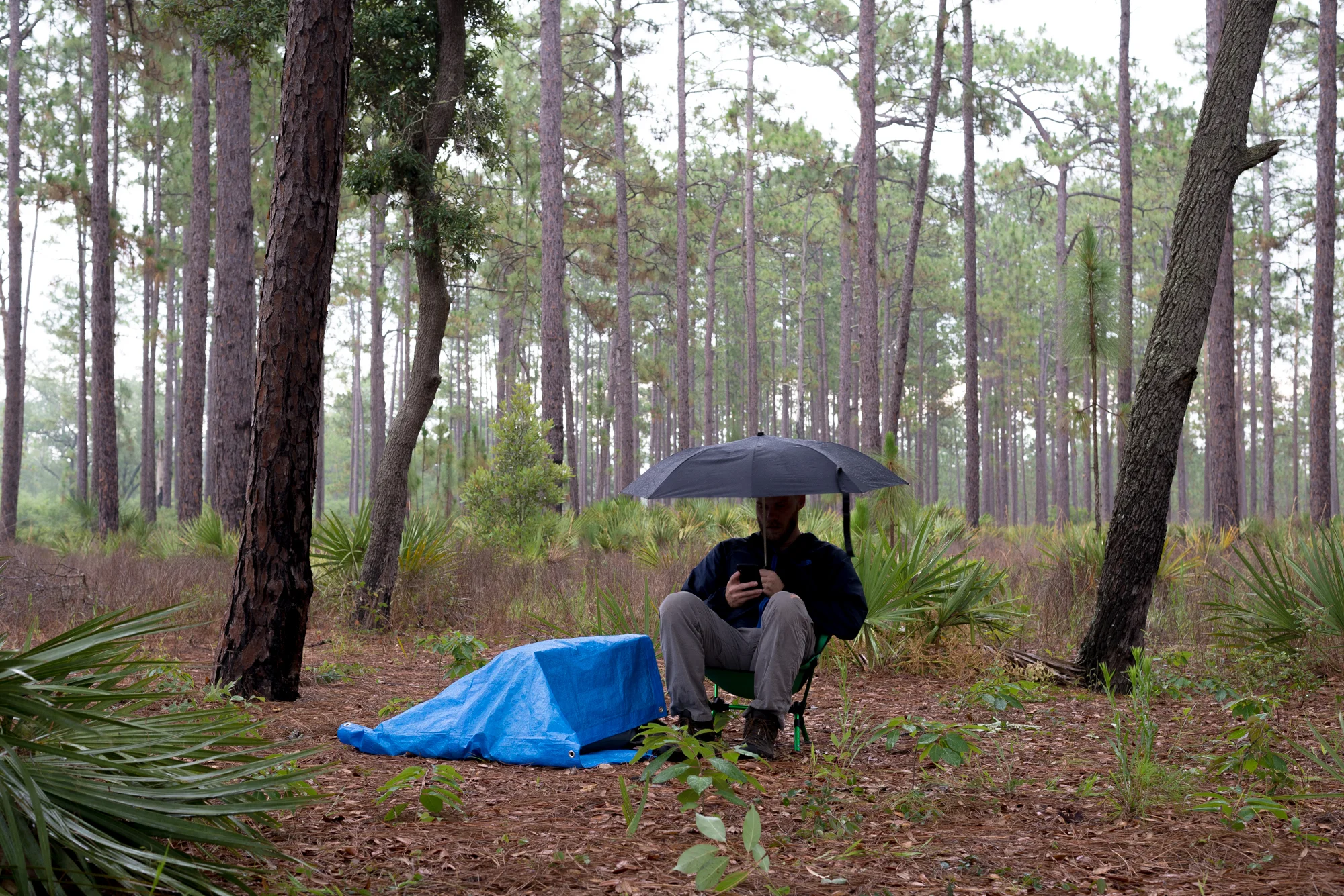With my gear packed and covered, I sat in a chair in the rain. I don’t usually carry an umbrella (in fact, this is the first time I’ve ever brought an umbrella), but I’m sure glad I did!