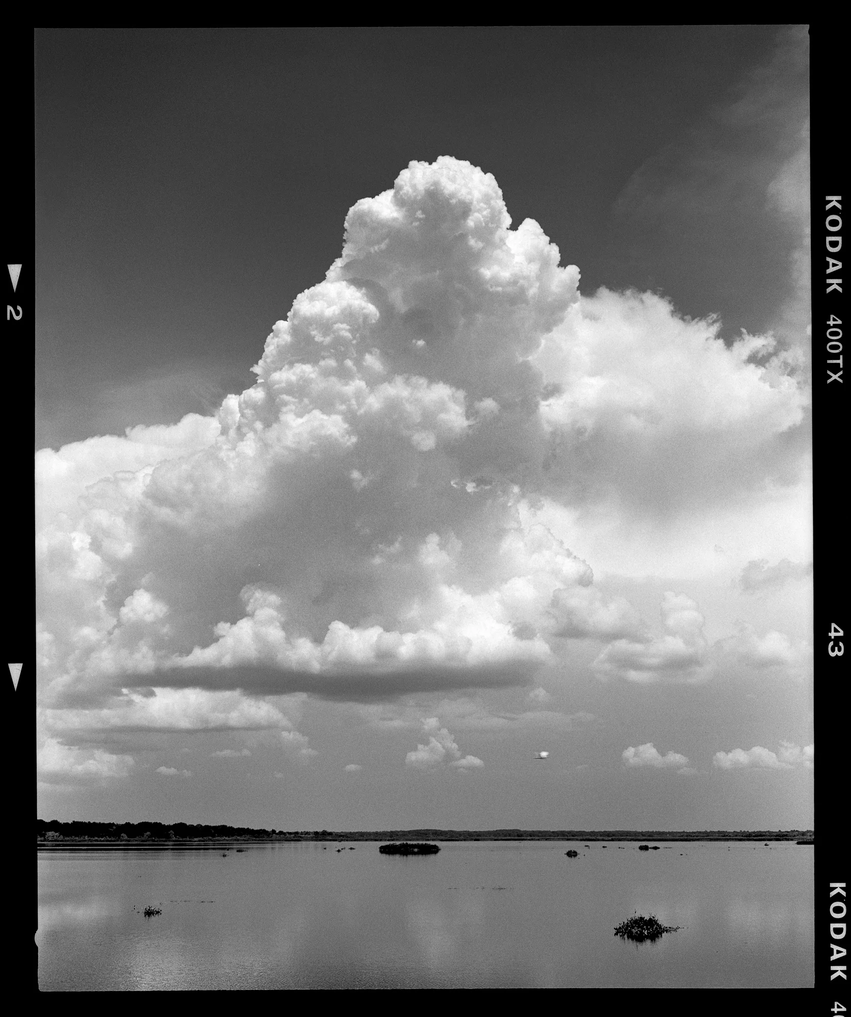 A large storm forms over Paynes Prairie Preserve State Park. Shot with the Mamiya 7ii.