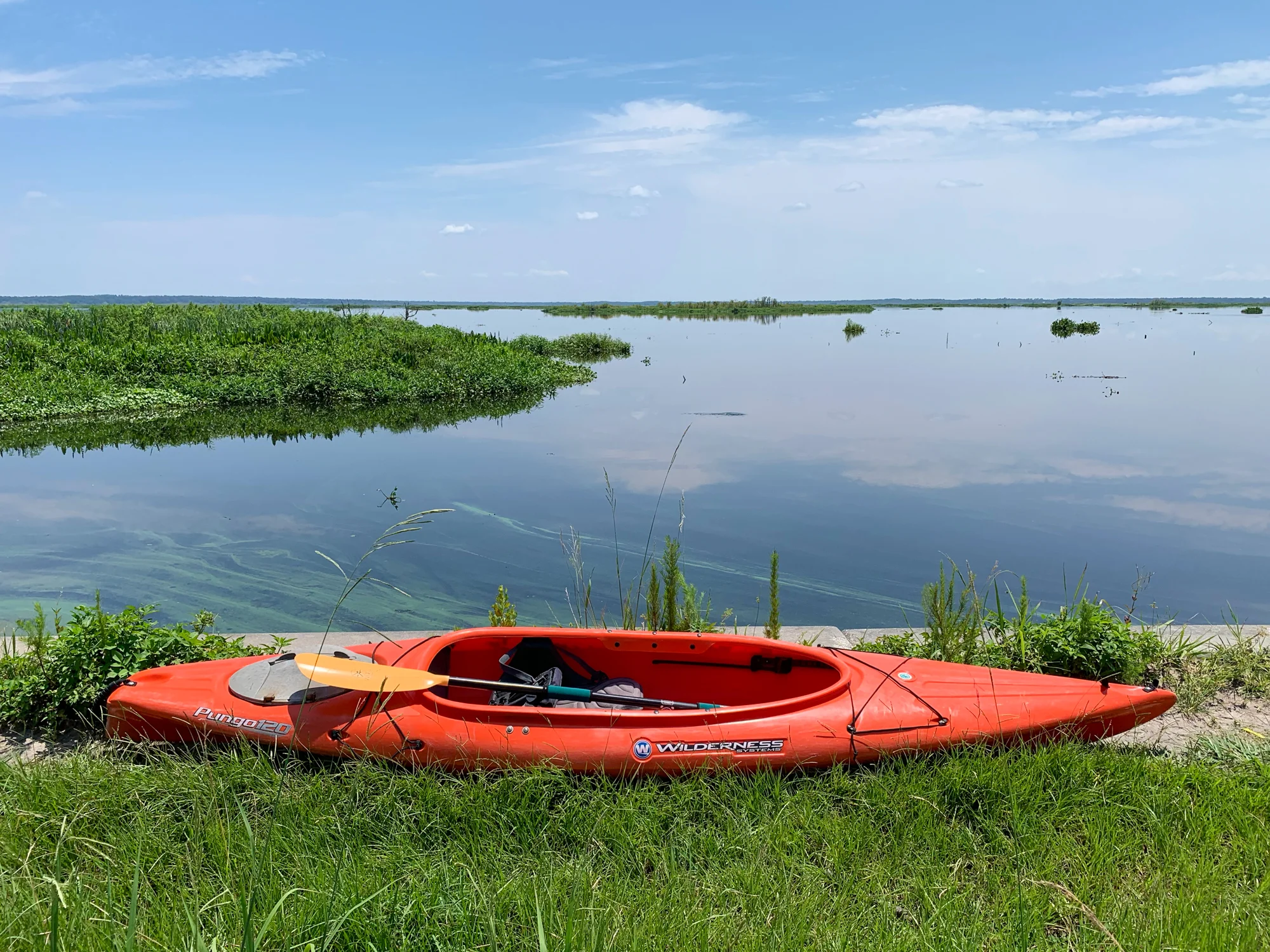 My kayak sits on the edge of Paynes Prairie Preserve prior to launching from US 441.