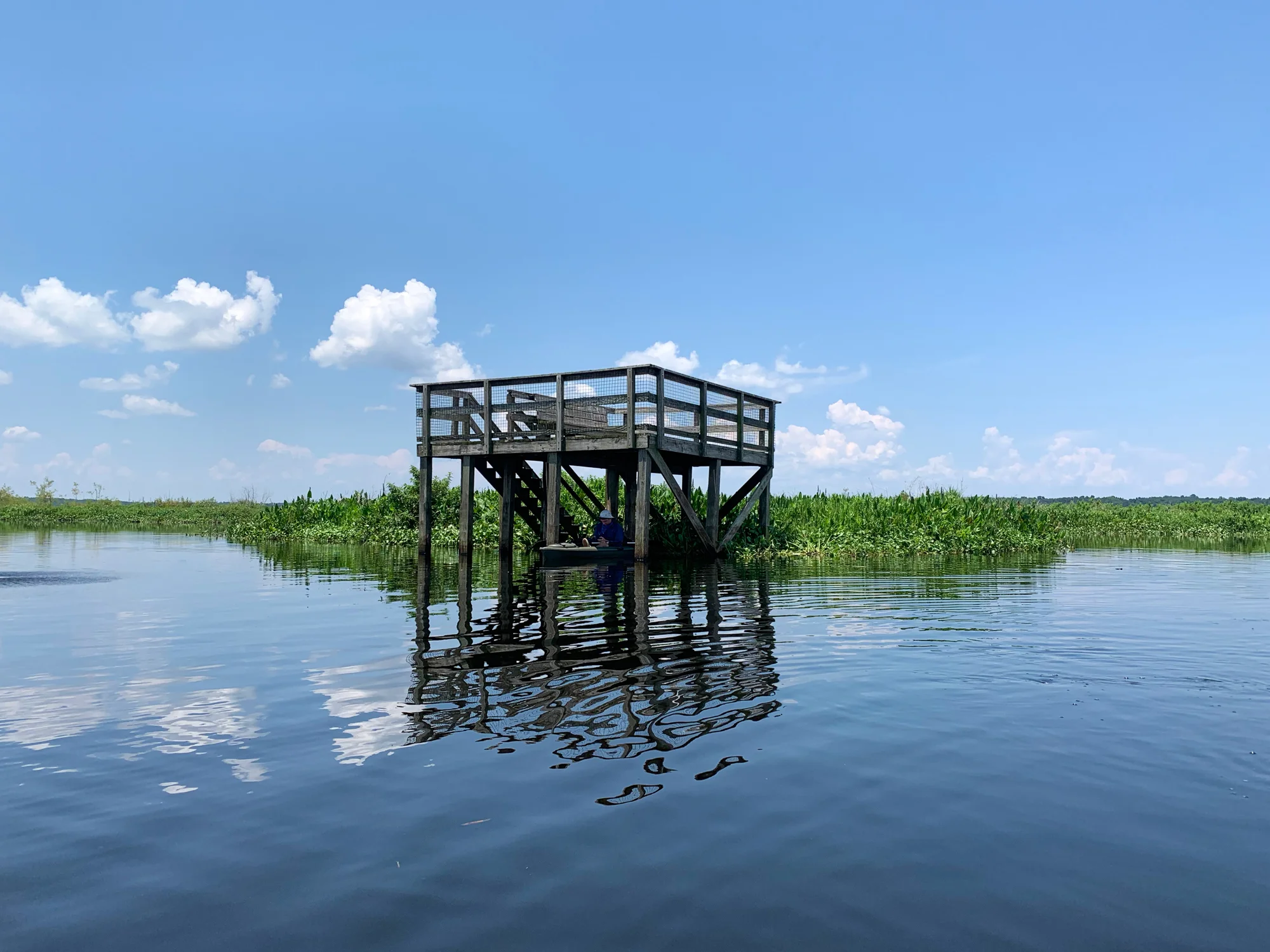 The La Chua Trail observation platform rises from a flooded Paynes Prairie.