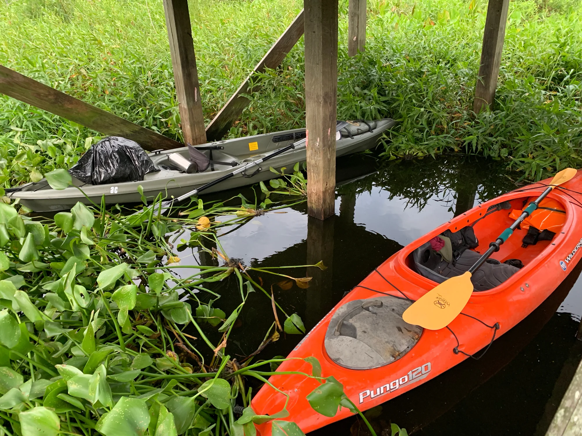 Our kayaks enclosed beneath the La Chua Trail observation platform.