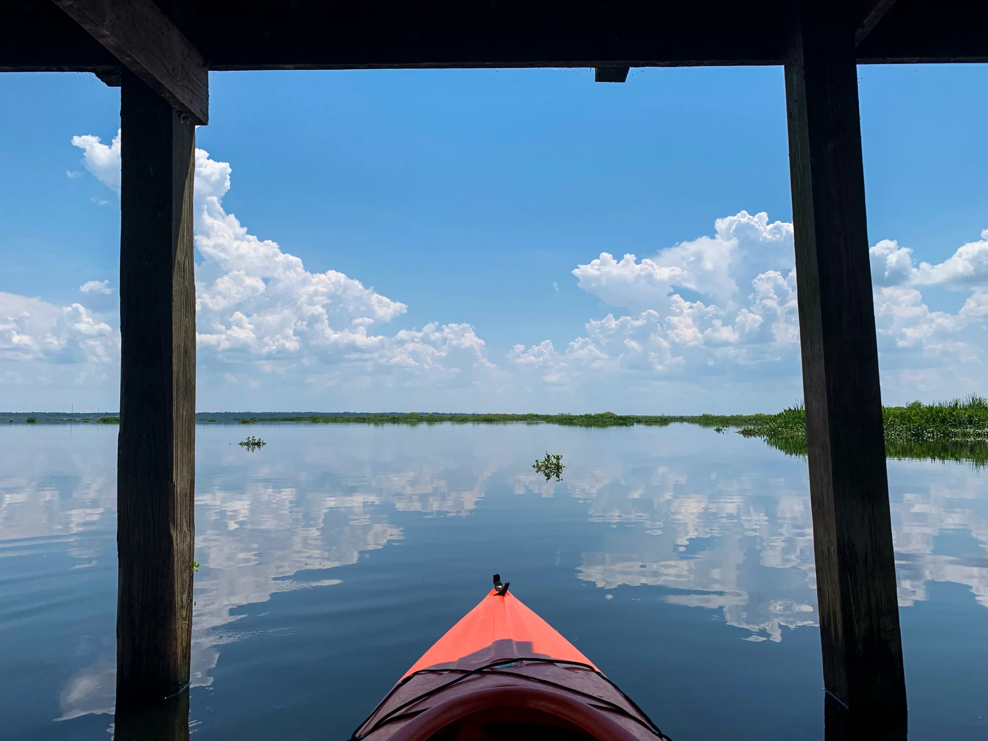 A first person view of my kayak parked under the La Chua Trail overlook. It was like having a personal two-kayak garage in the middle of the prairie.