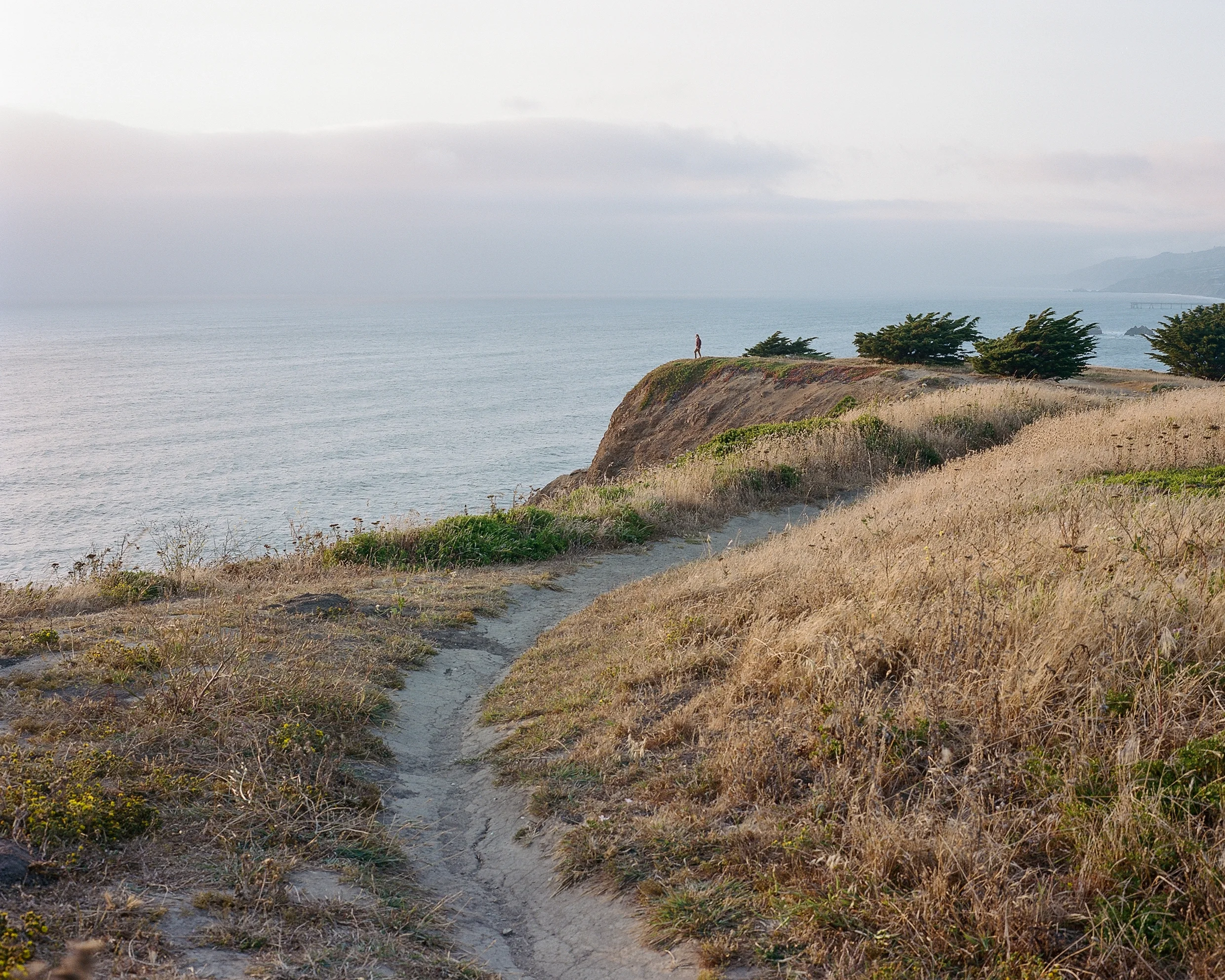 190811_CaliforniaOnFilm-1.jpg
