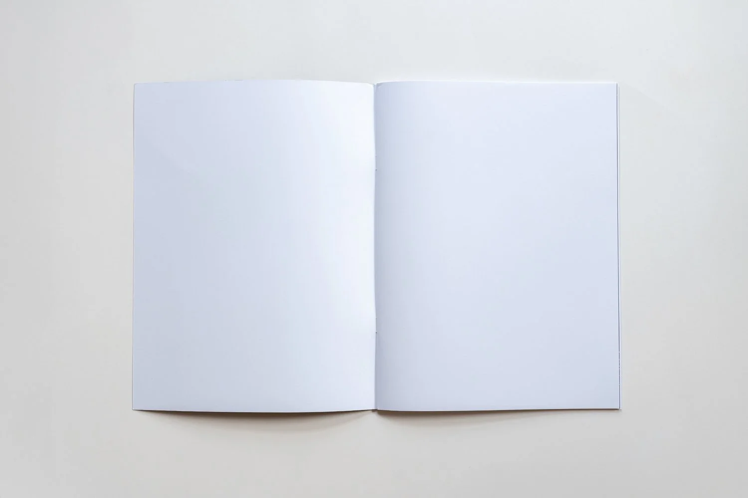 Ocklawaha_Archived_Book_1500x1000_i-ii.jpg