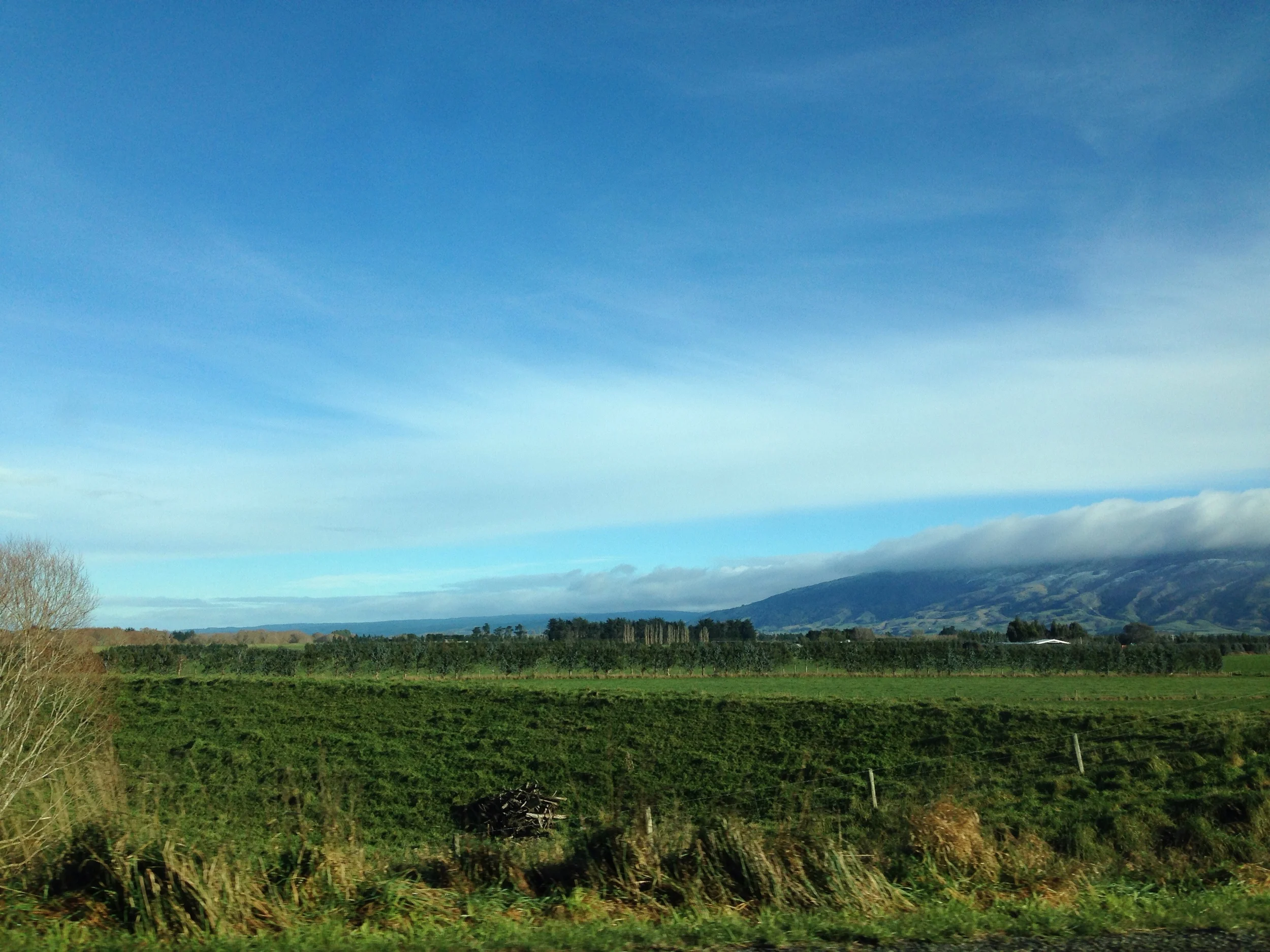 En route from the airport.