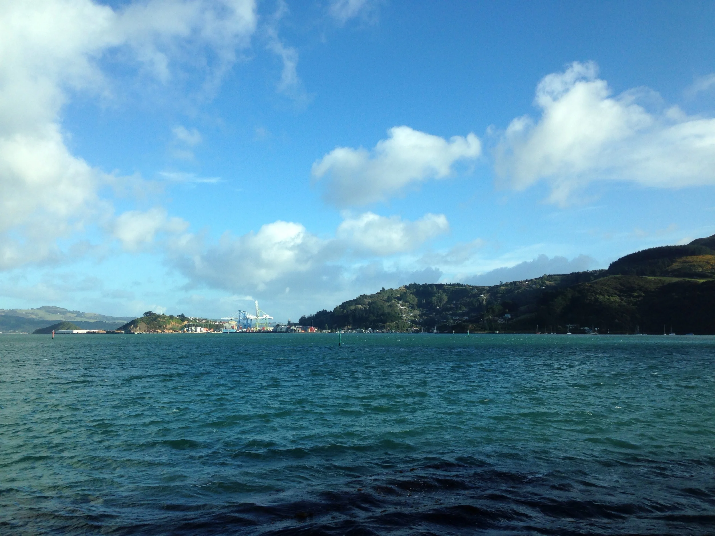 Port Chalmers in the distance.