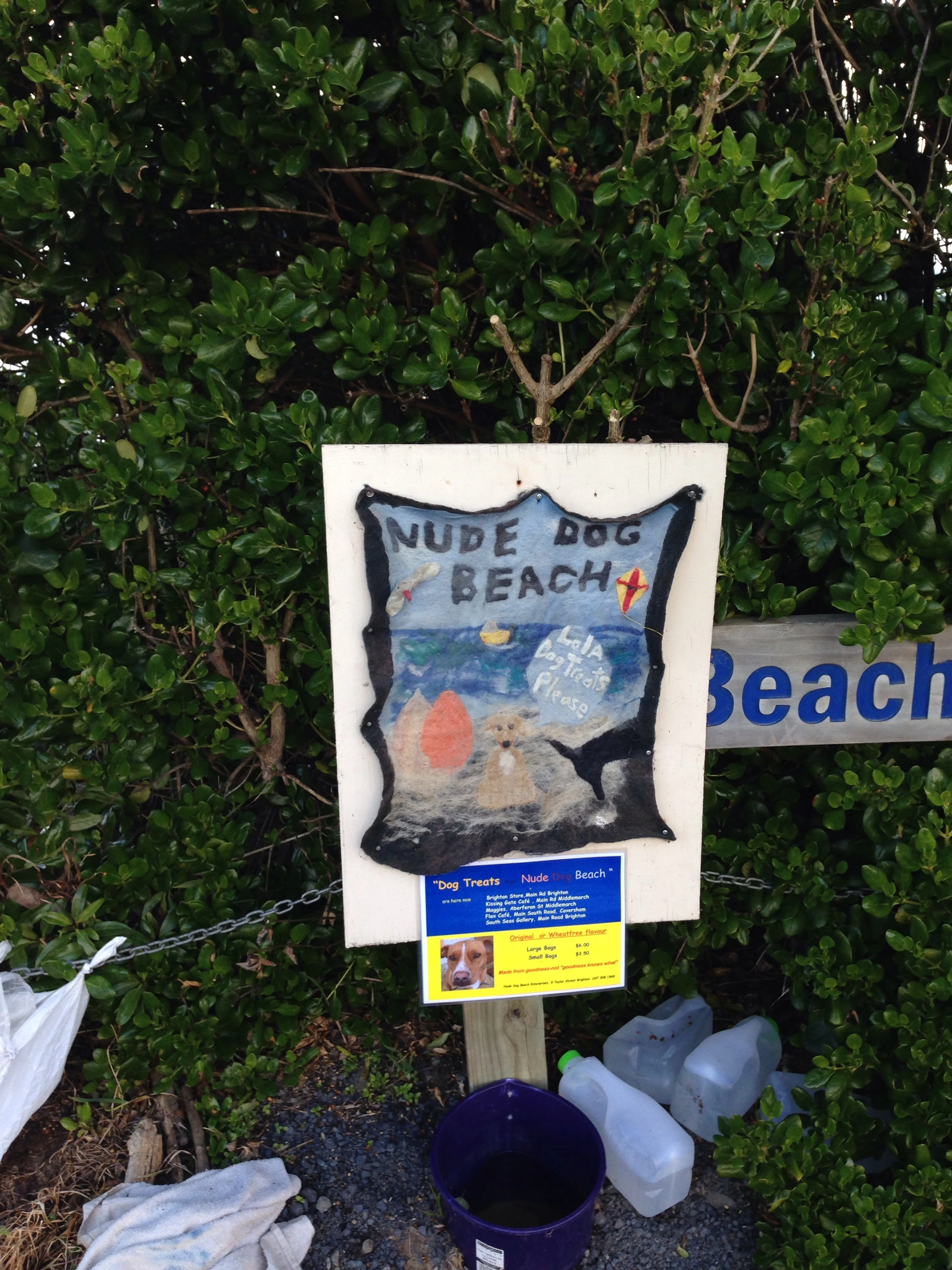 Sign at Brighton Recreational Reserve, a dog-friendly beach.