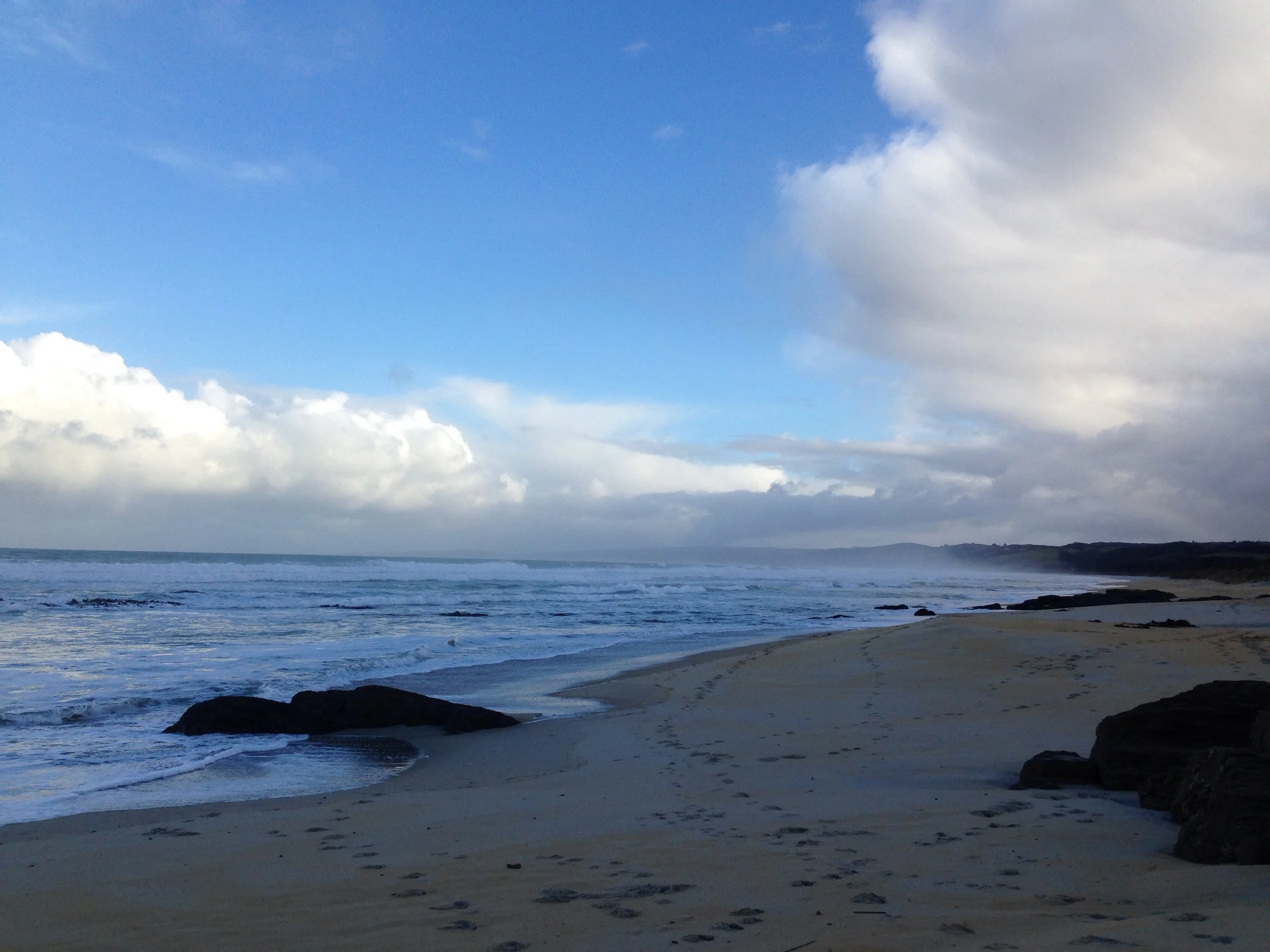 Brighton Recreational Reserve and the Pacific Ocean.