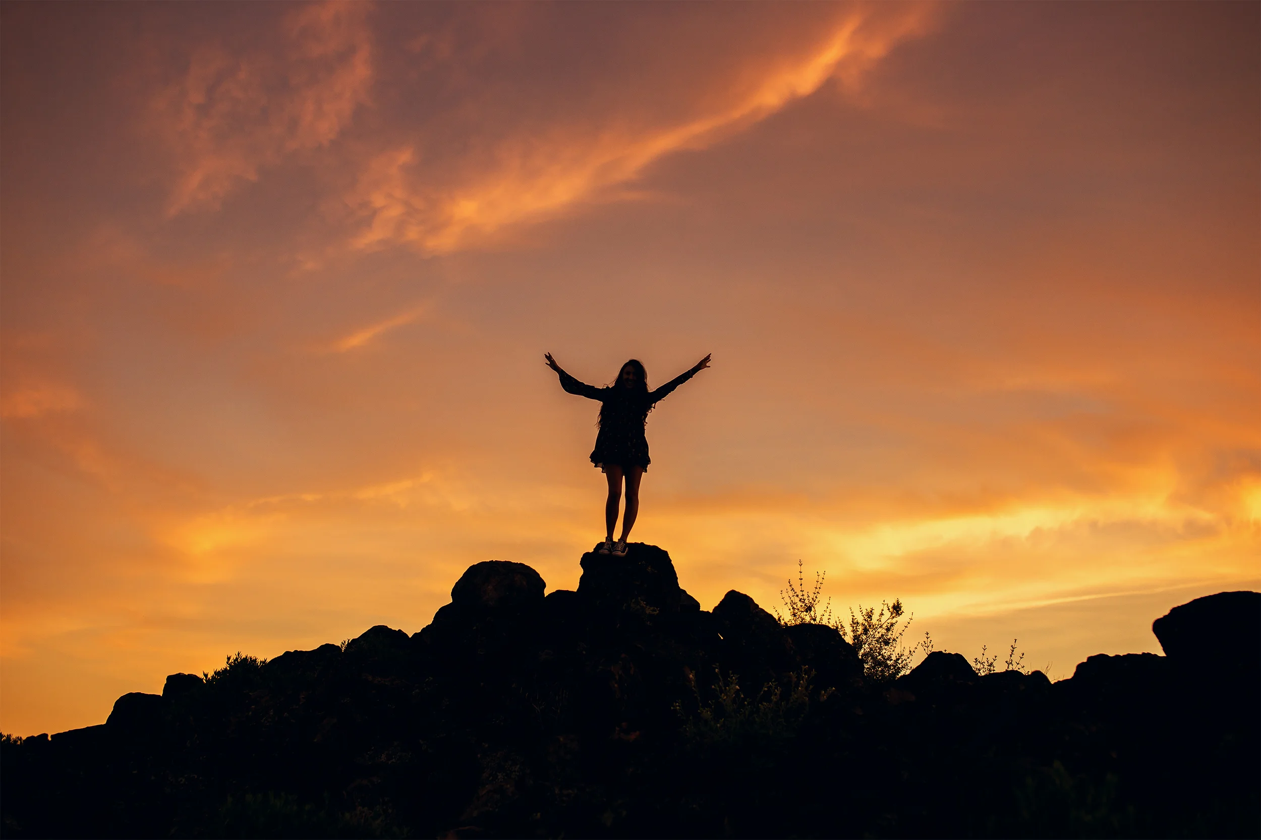 IMG_8995 as Smart Object-1.jpg