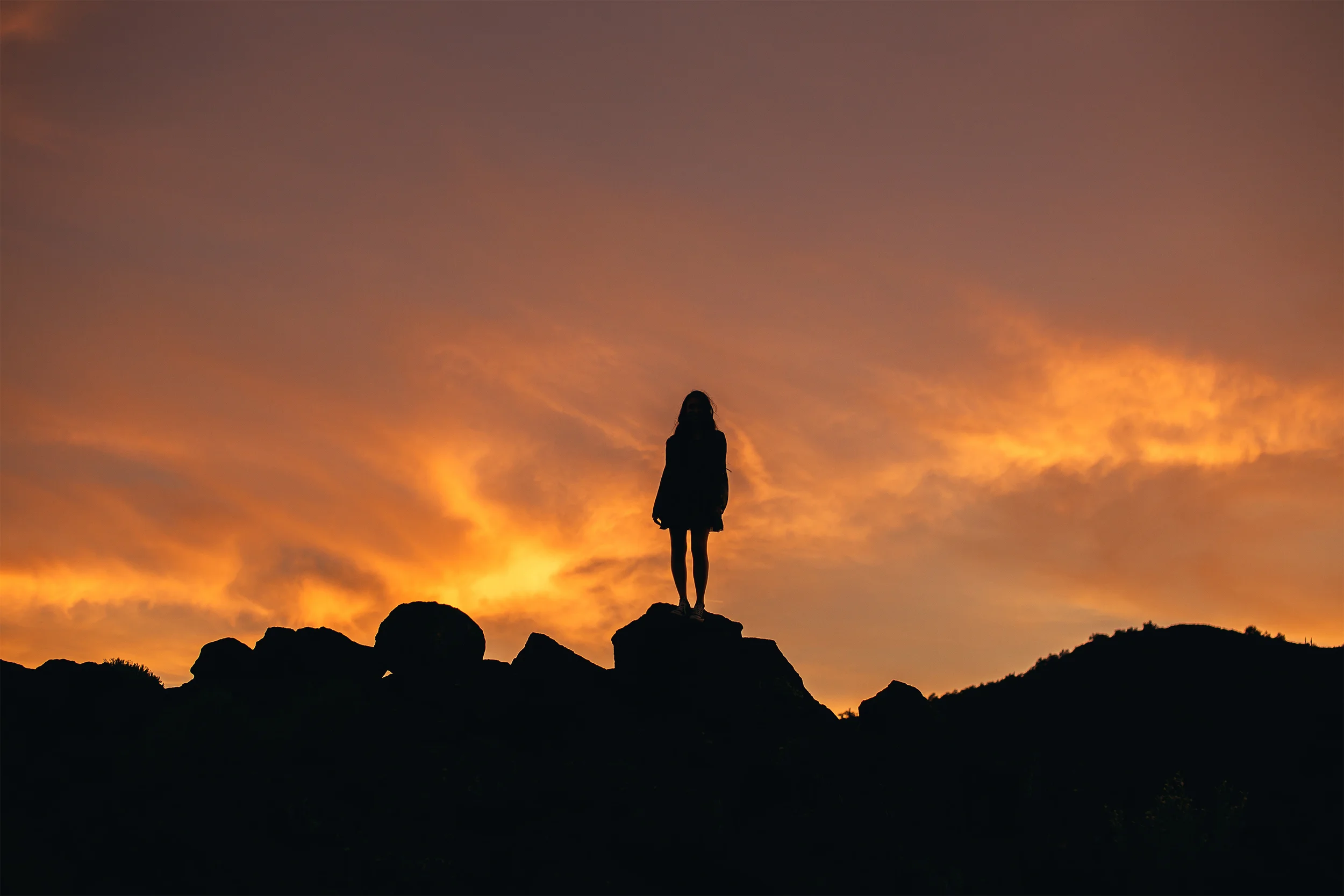 IMG_9008 as Smart Object-1.jpg