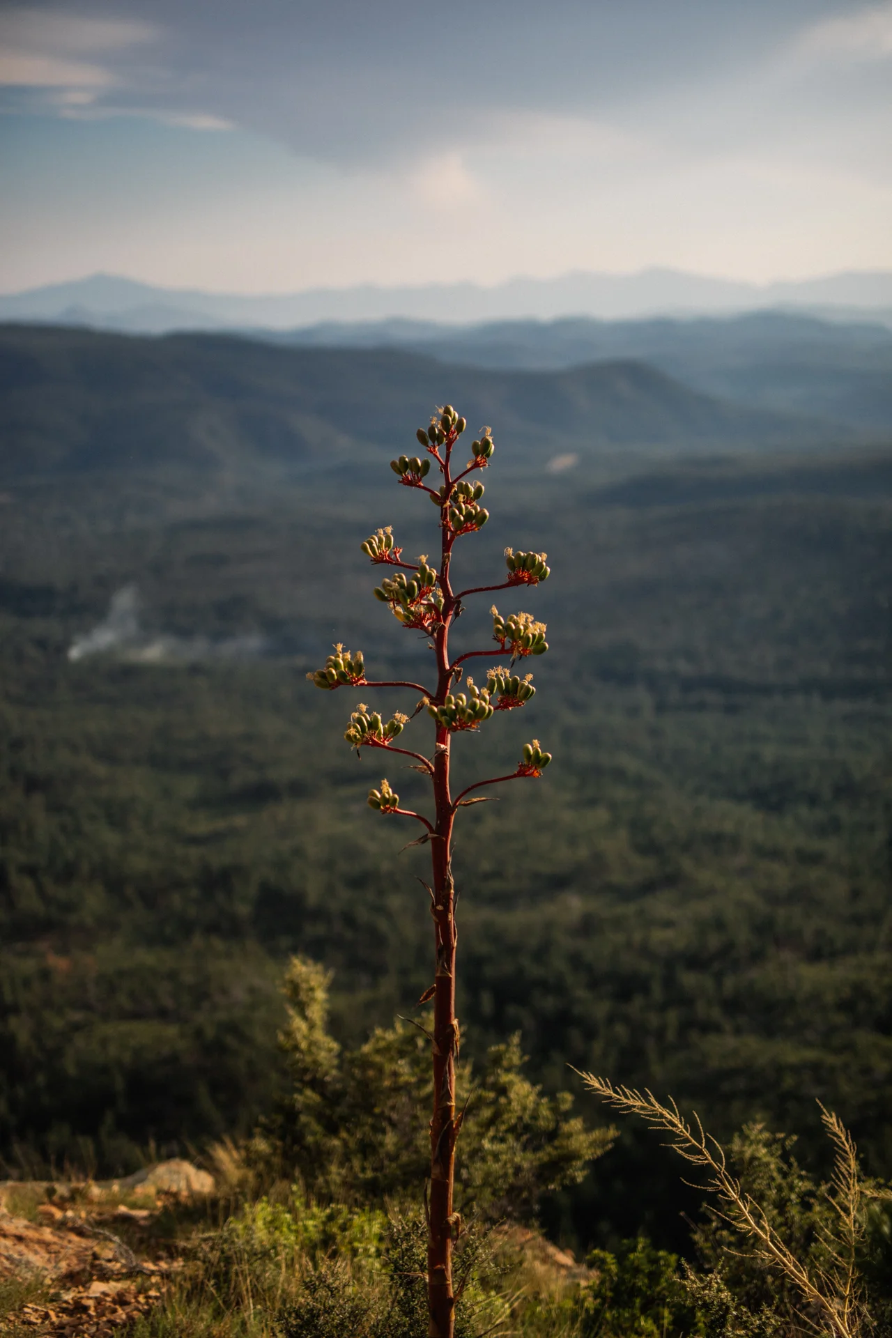 size and edit -99.jpg