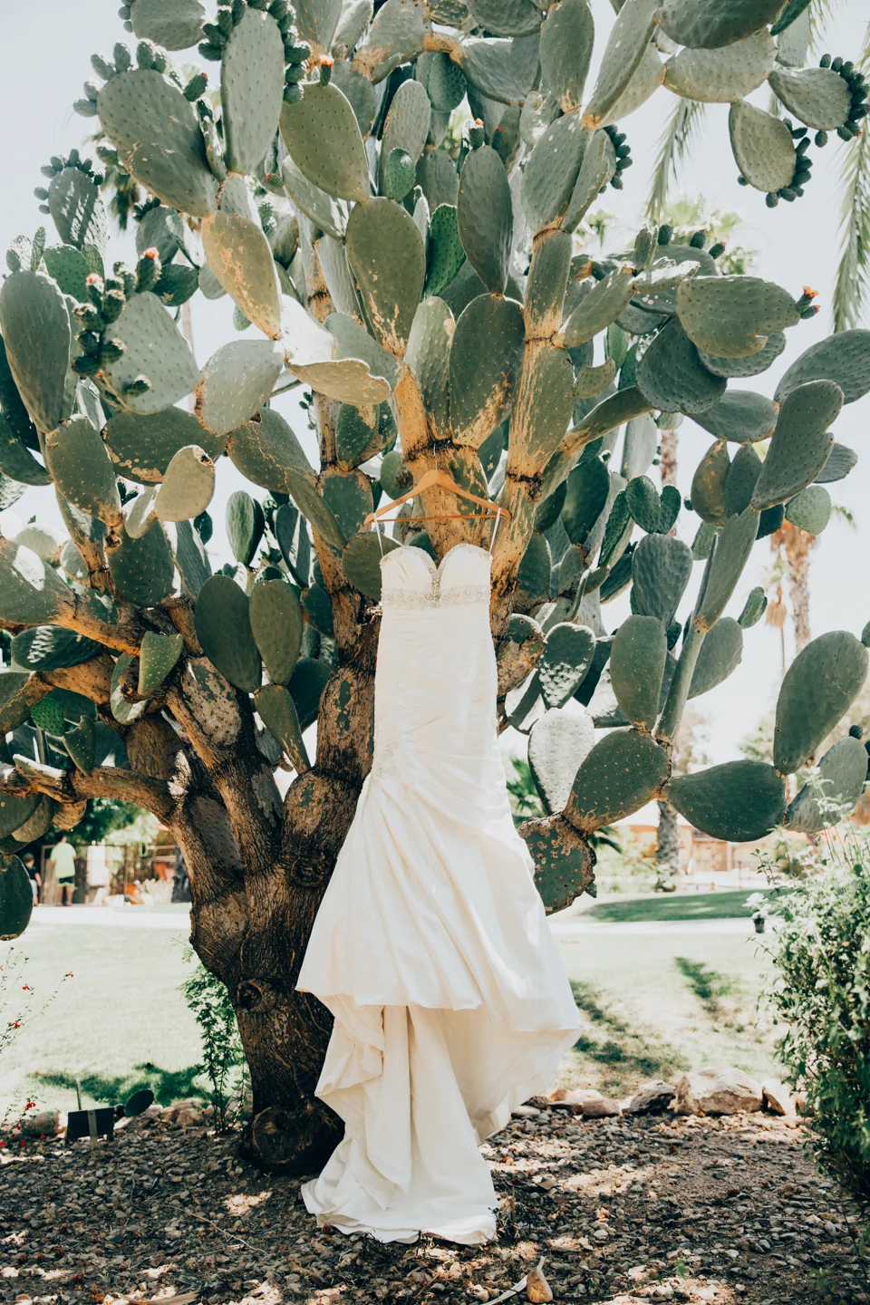 Wedding_Photographers_Phoenix-25.jpg