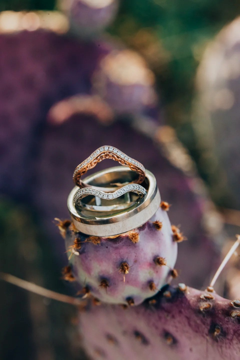 Wedding_Photographers_Phoenix-265.jpg