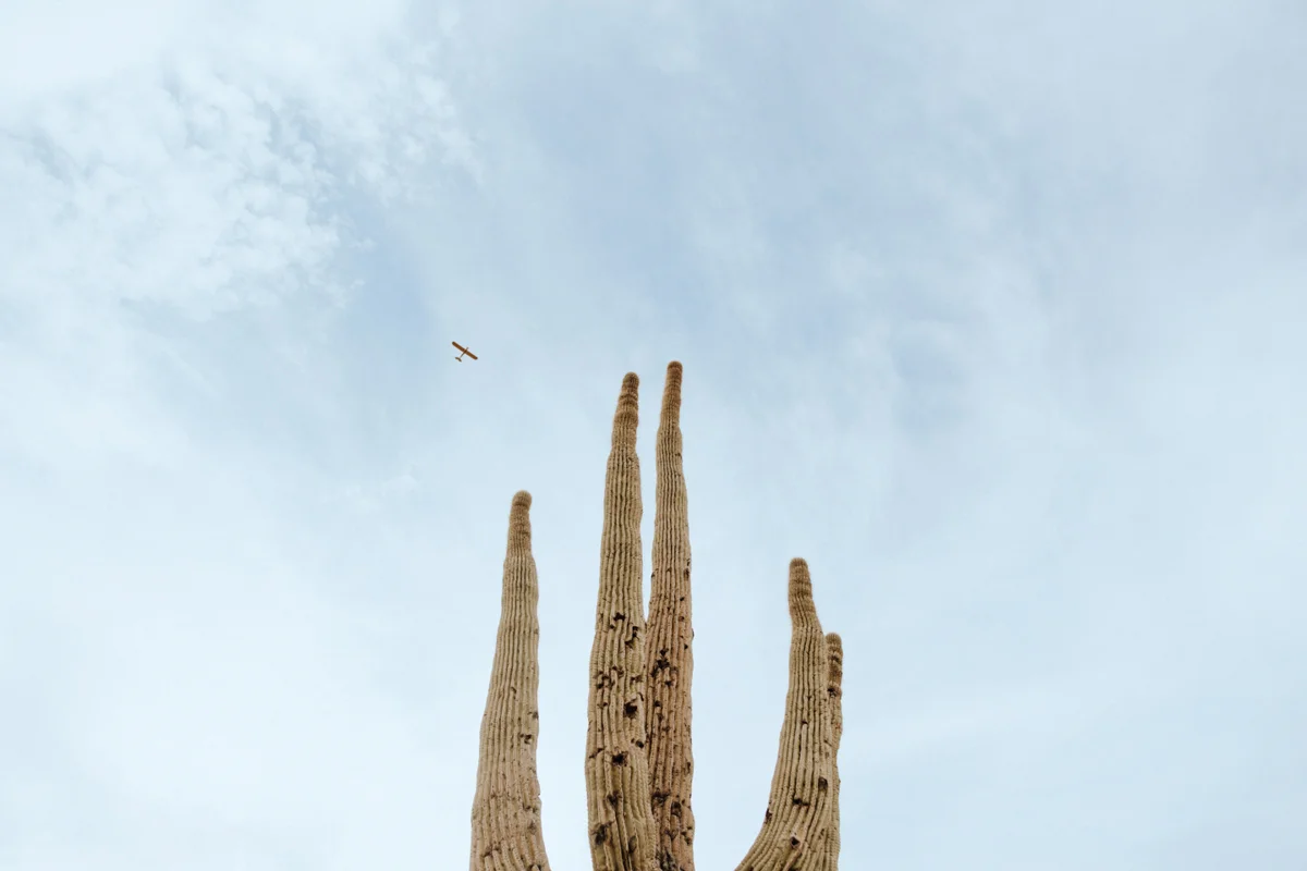 _AI_4060.jpg