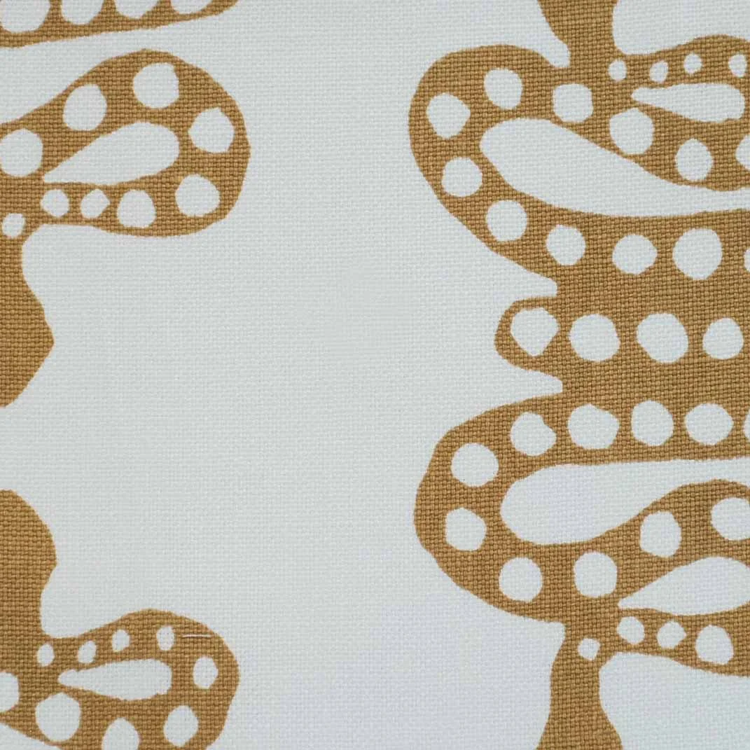 Snakes in Gold