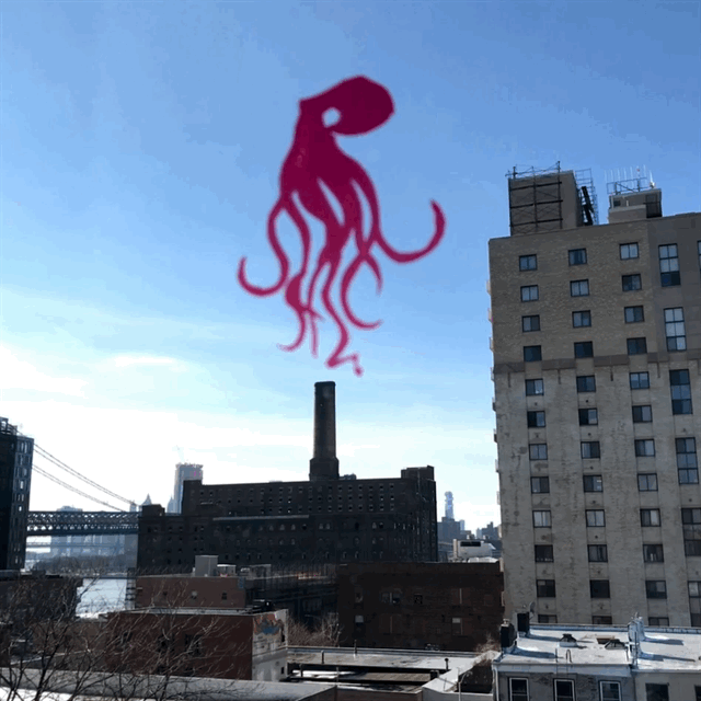 IMG_2289.gif
