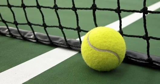 Come out and show your tennis skills at Savannah's Spring Tennis Tournament! This tournament is open to all ages and skill types Please register here or contact patricia.martin@fsresidential.com