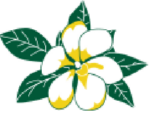 savannah magnolia.png