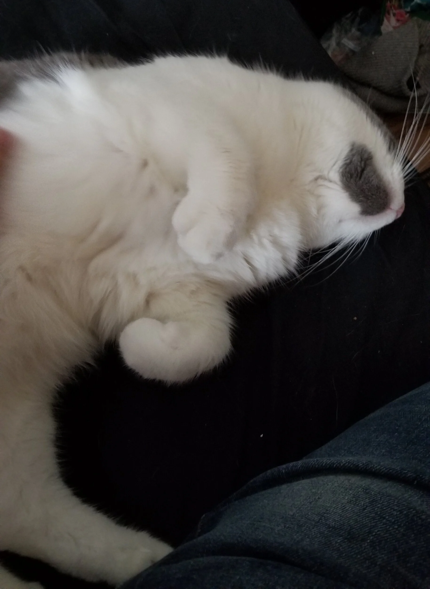 Social Distancing Diaries: May 10