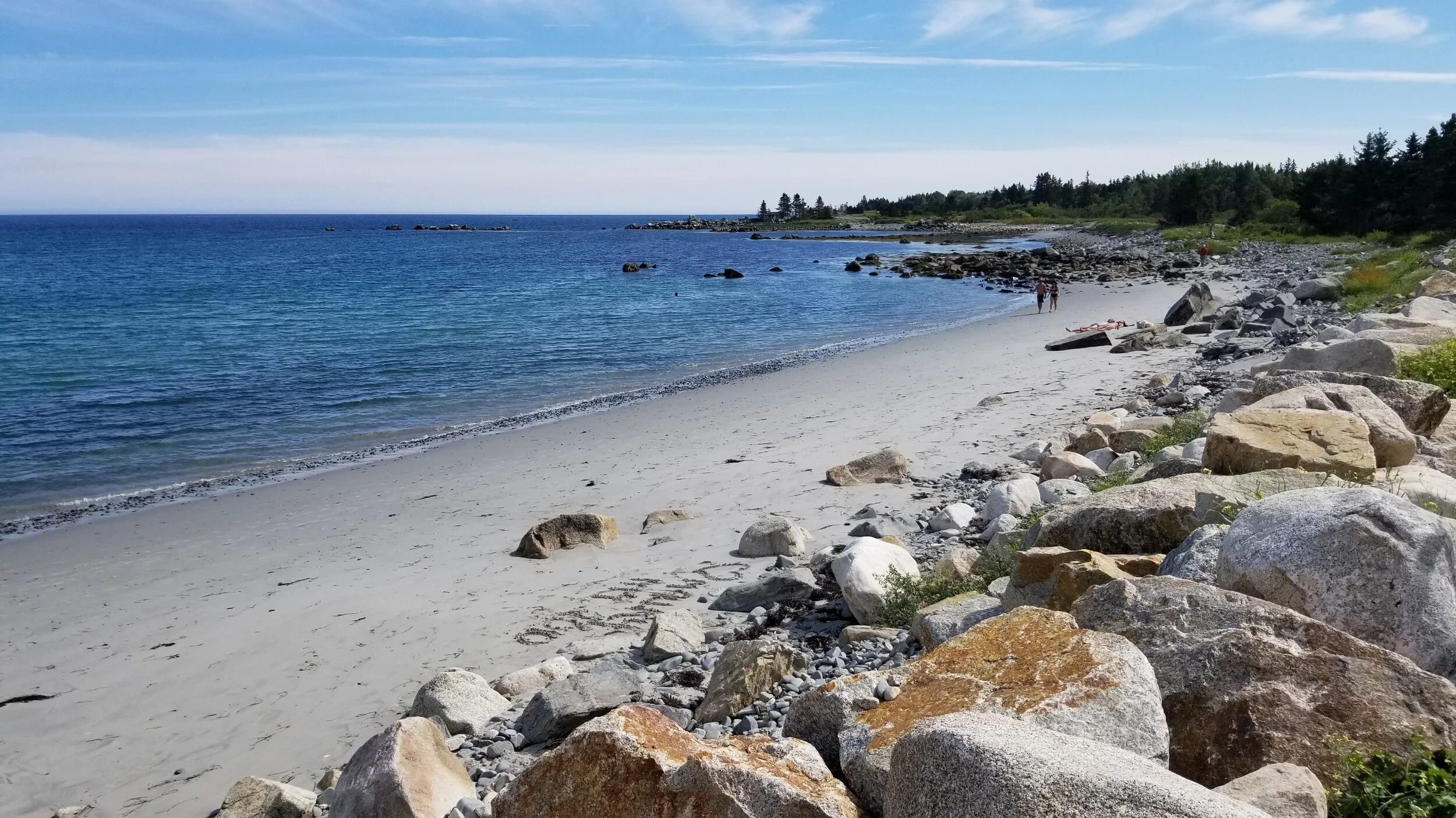 A busy August and future plans