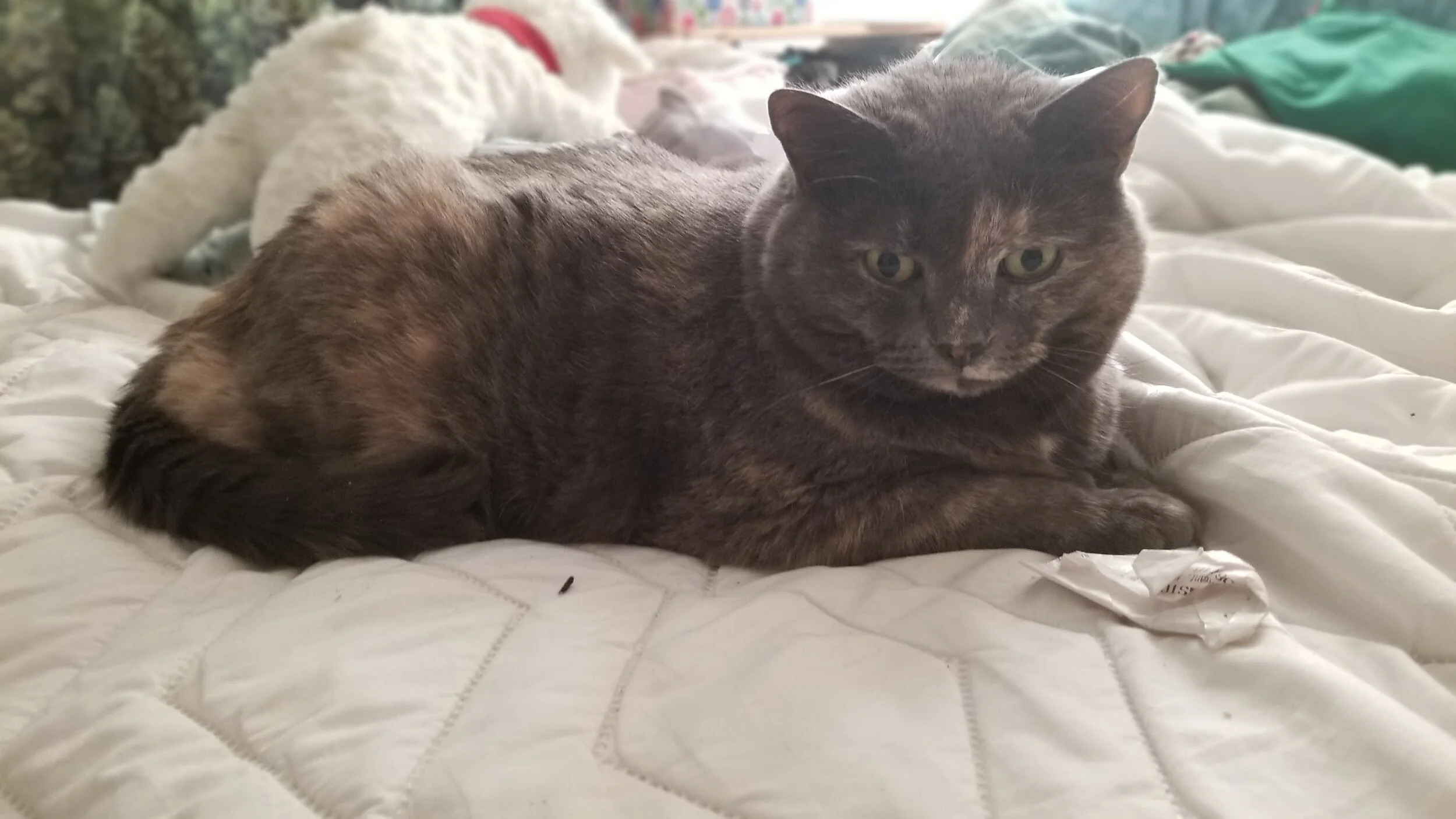 A somewhat quieter vacation