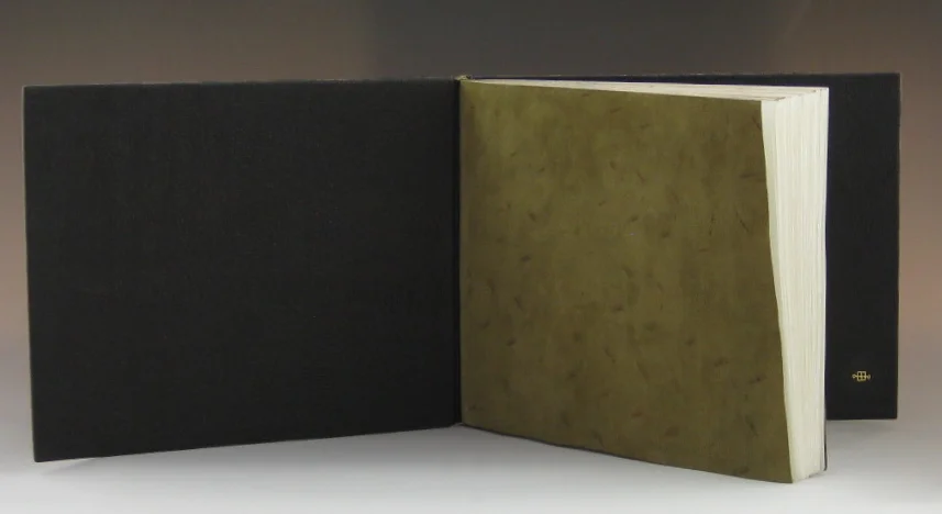 Of Woodland Pools, Spring-holes & Ditches