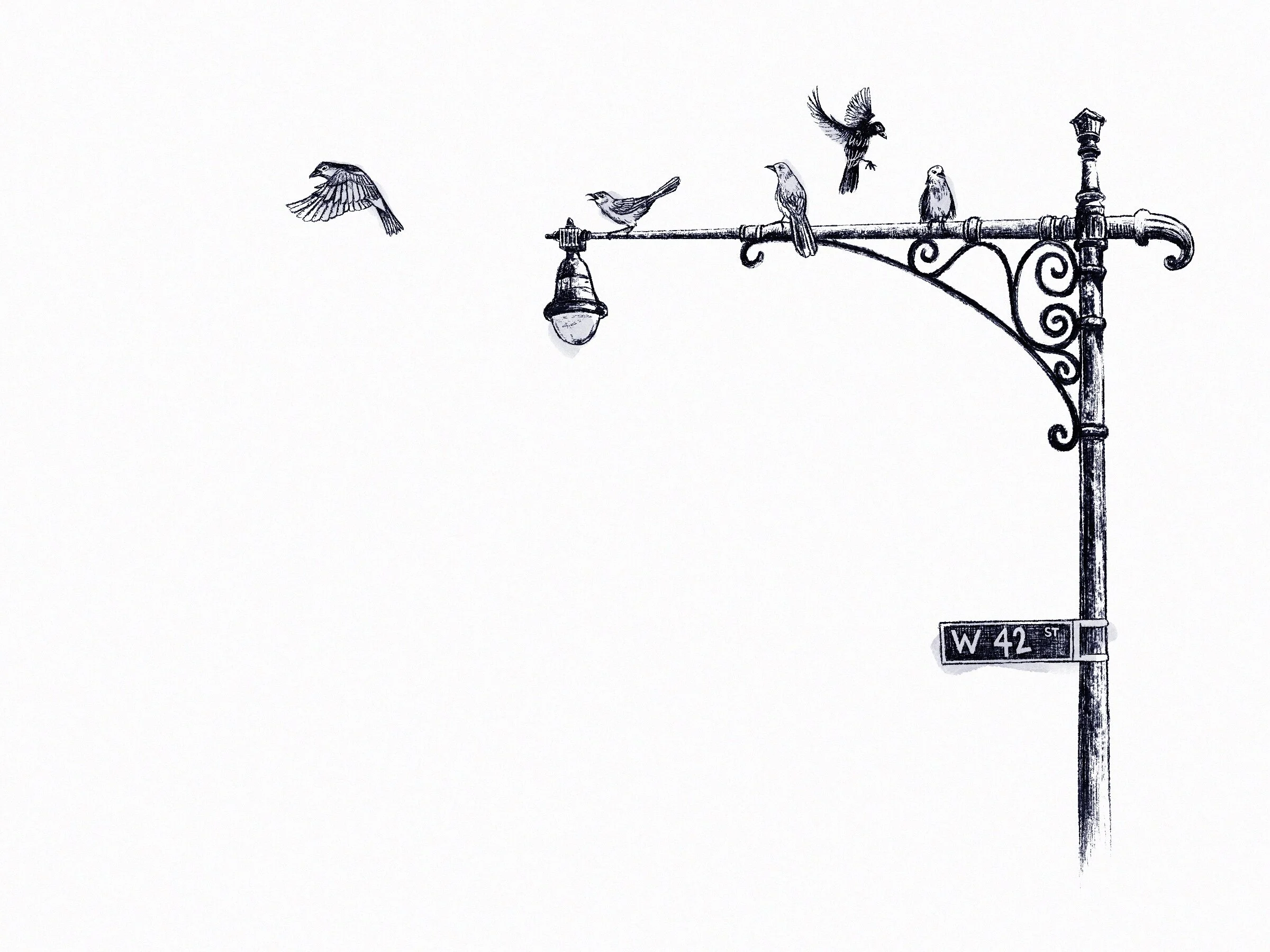 Foto 2020-06-09 10 52 31 p. m..jpg