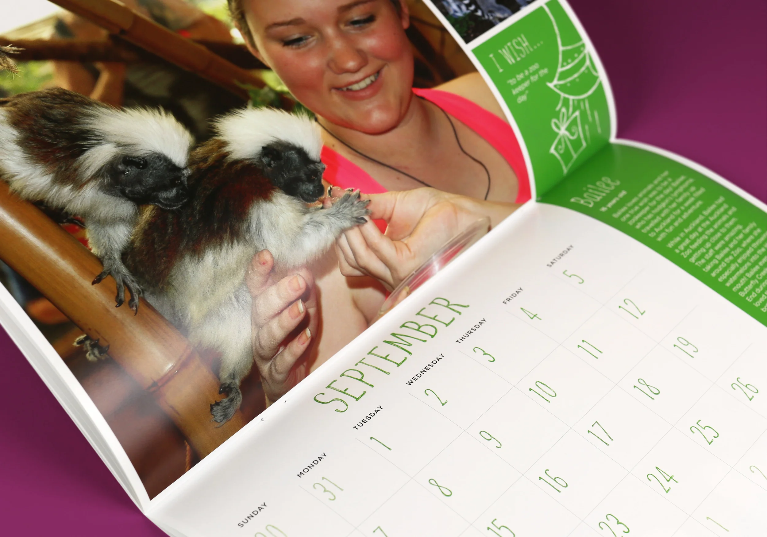 MR Website Make-A-Wish_4.jpg