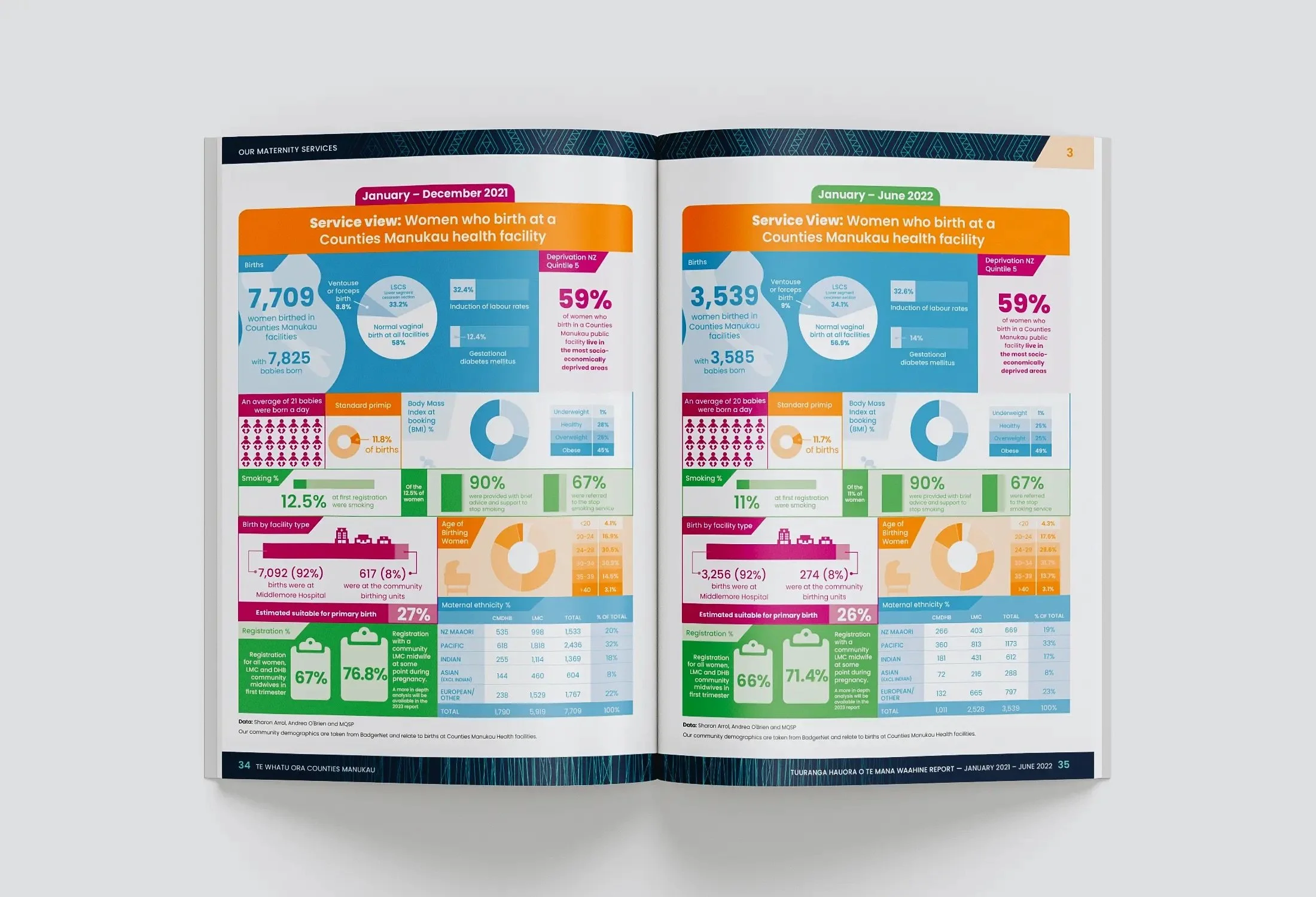 Te Whatu Ora Maternity Report_Mockup3 V1_FX.jpeg